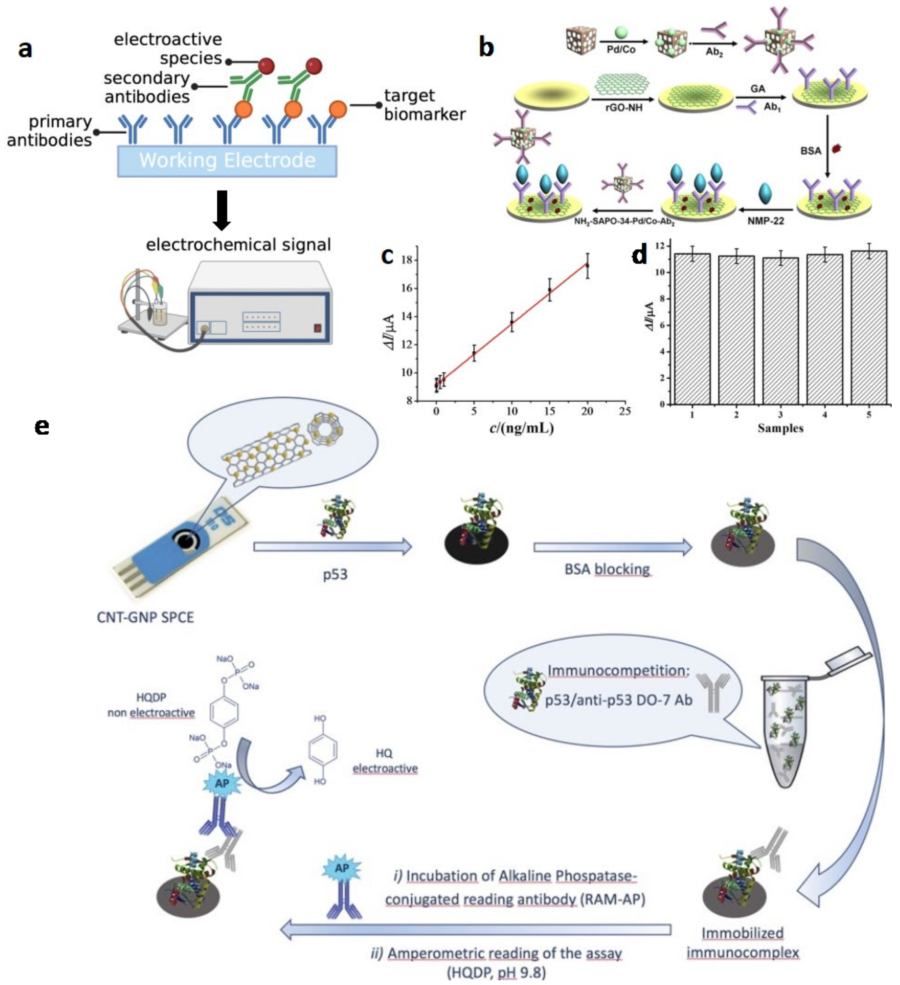 Biosensors 13 00106 g002