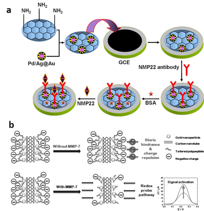 Biosensors 13 00106 g003