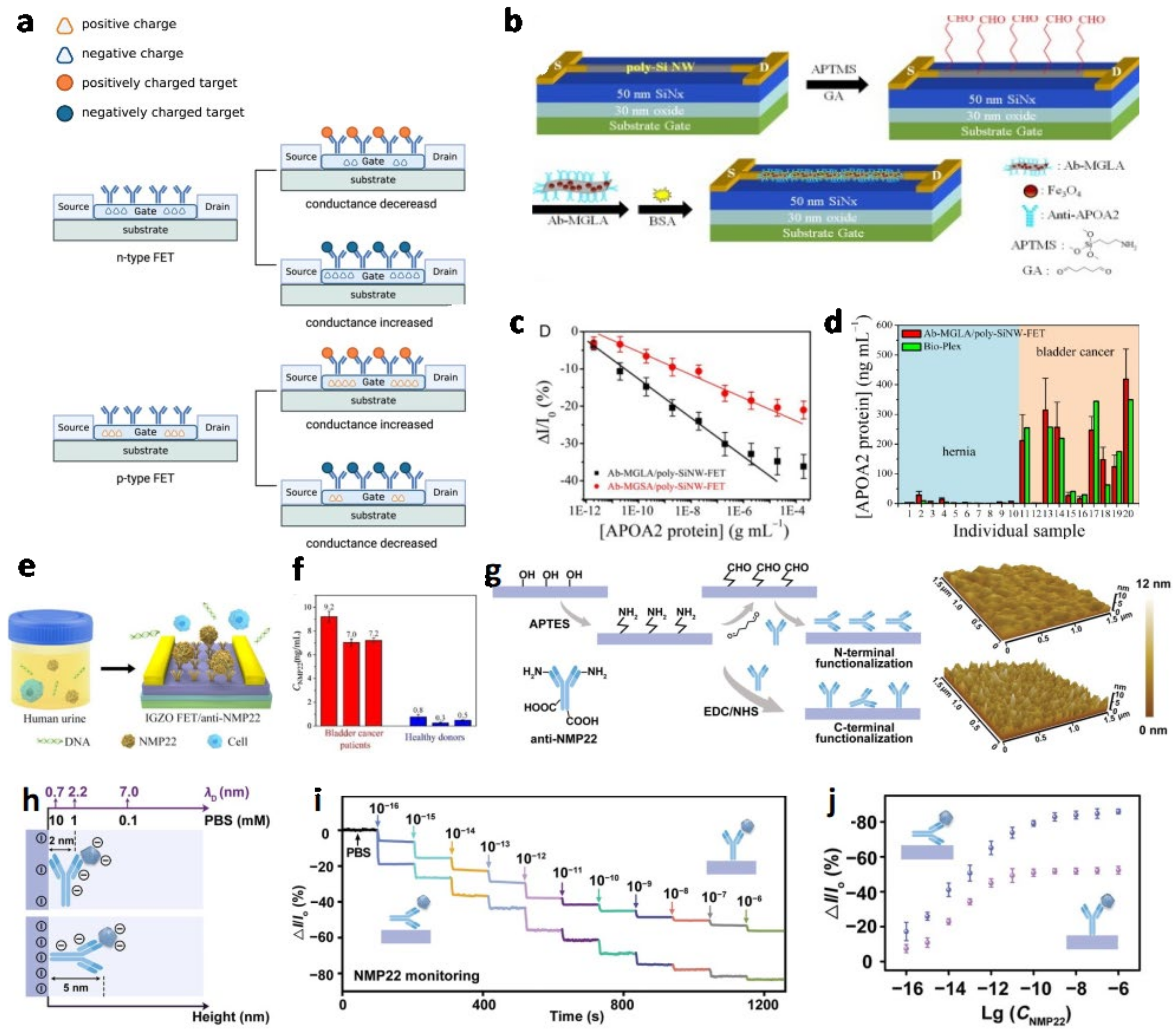 Biosensors 13 00106 g004