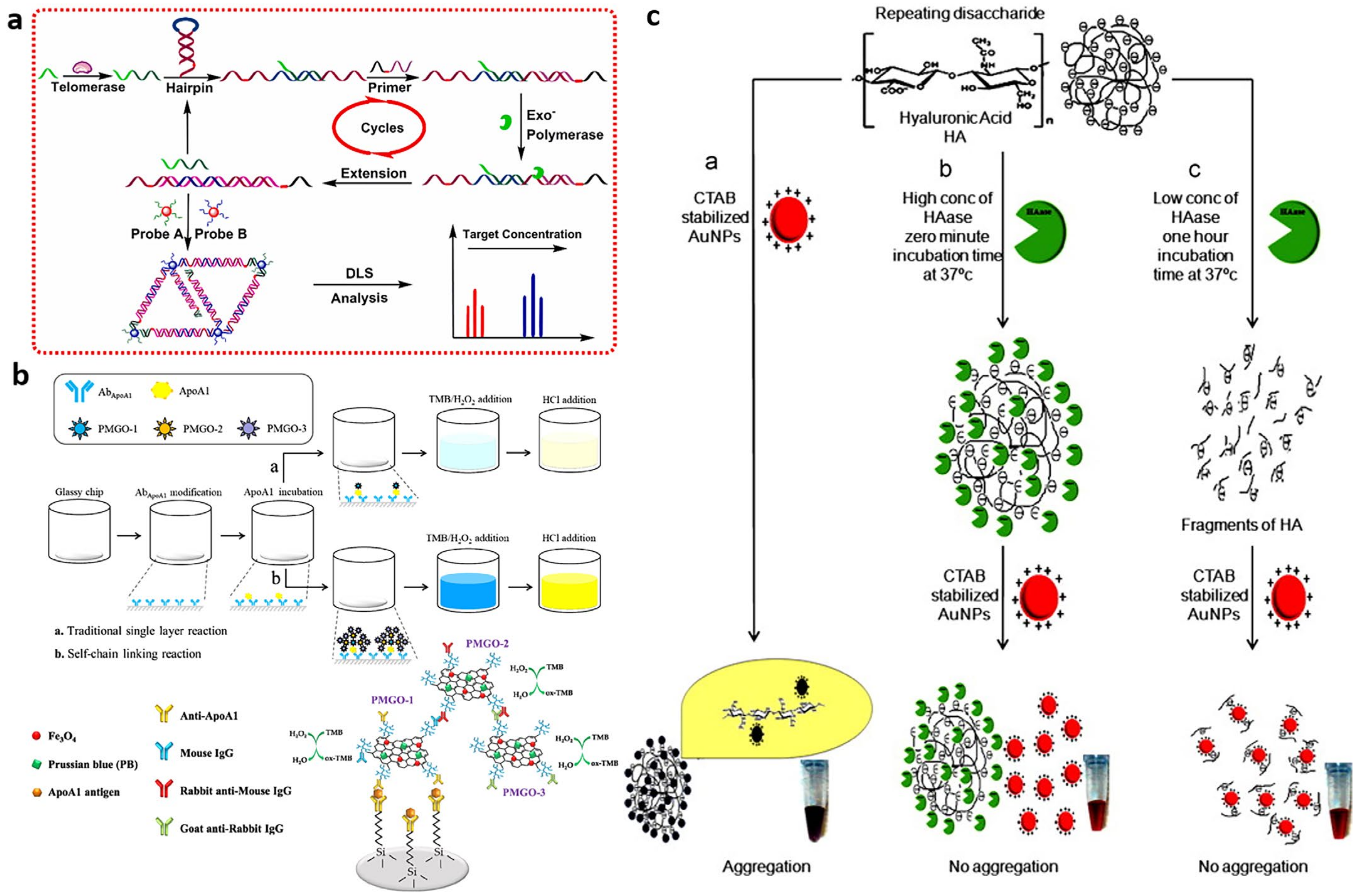 Biosensors 13 00106 g006