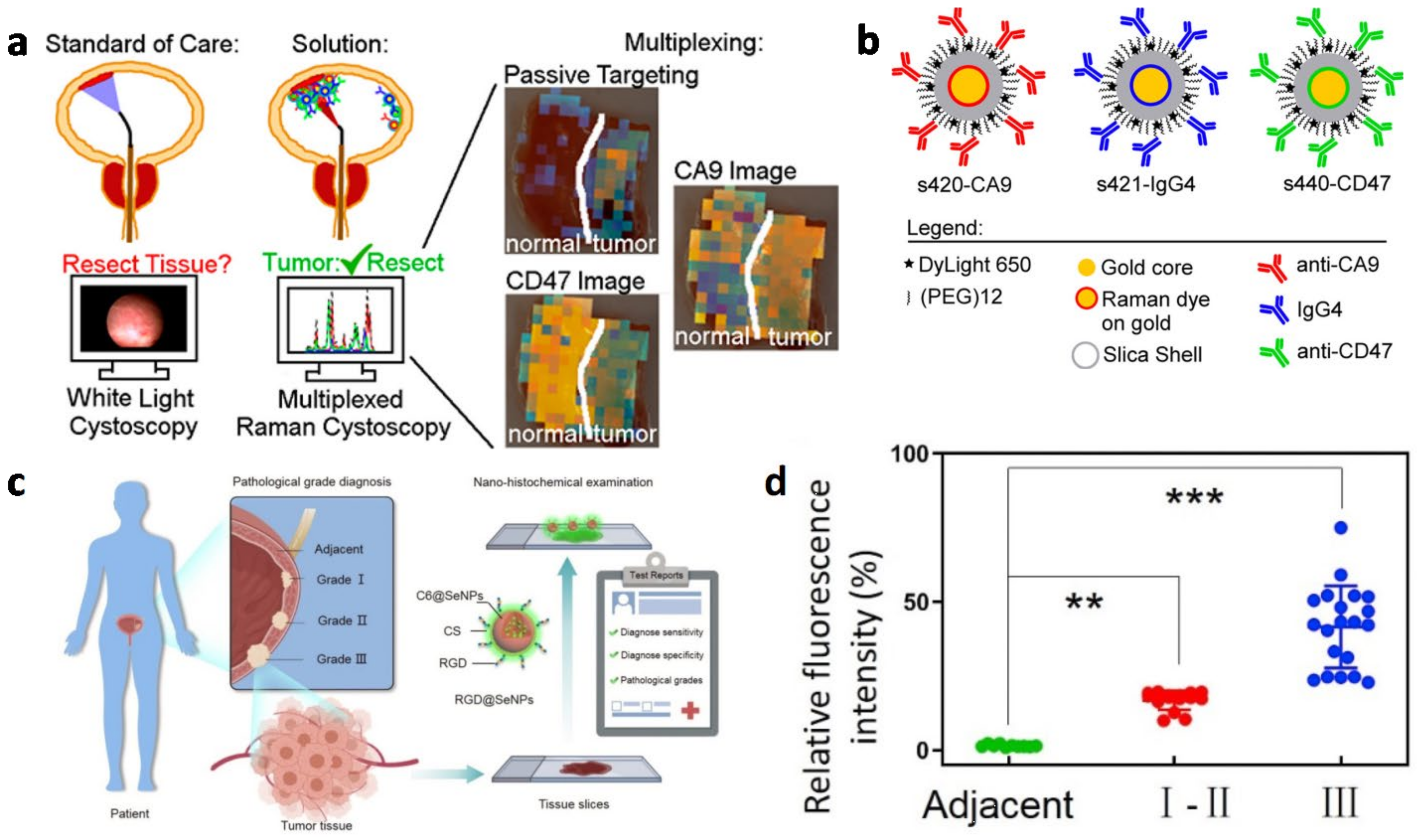 Biosensors 13 00106 g008