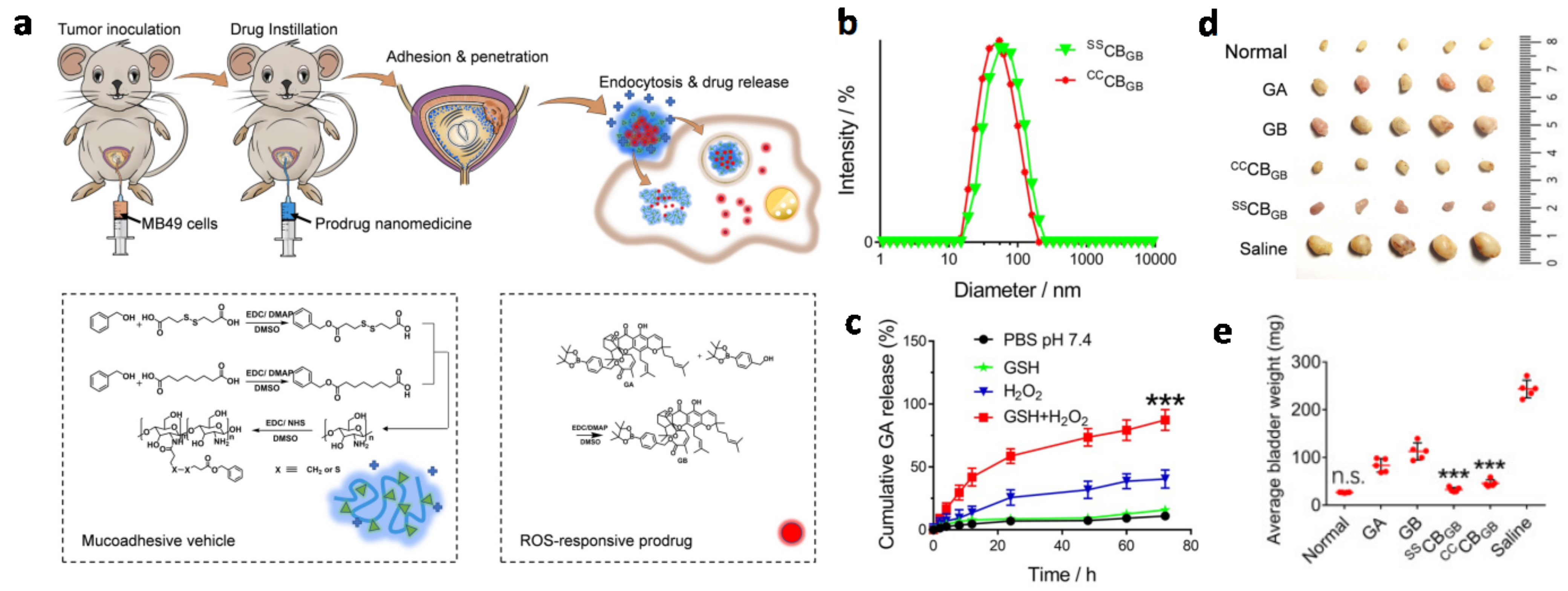 Biosensors 13 00106 g009