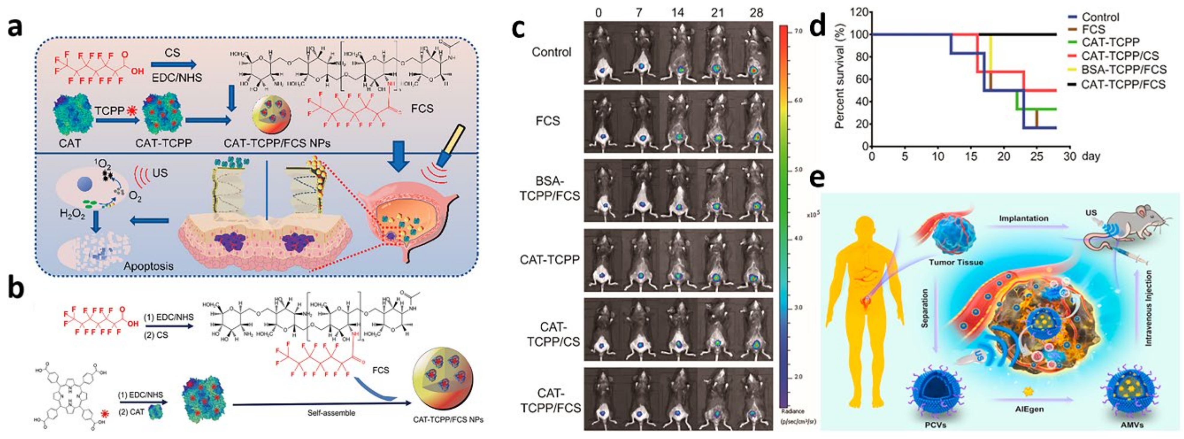 Biosensors 13 00106 g013