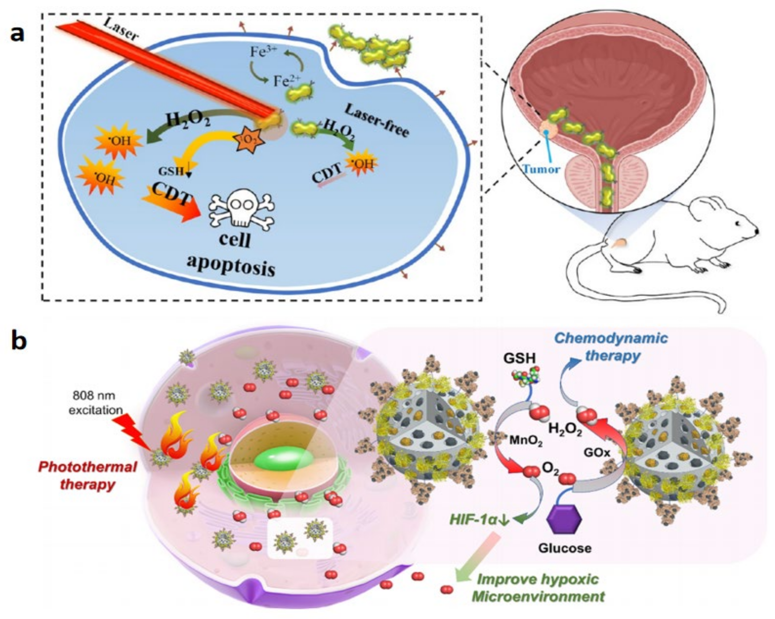 Biosensors 13 00106 g014