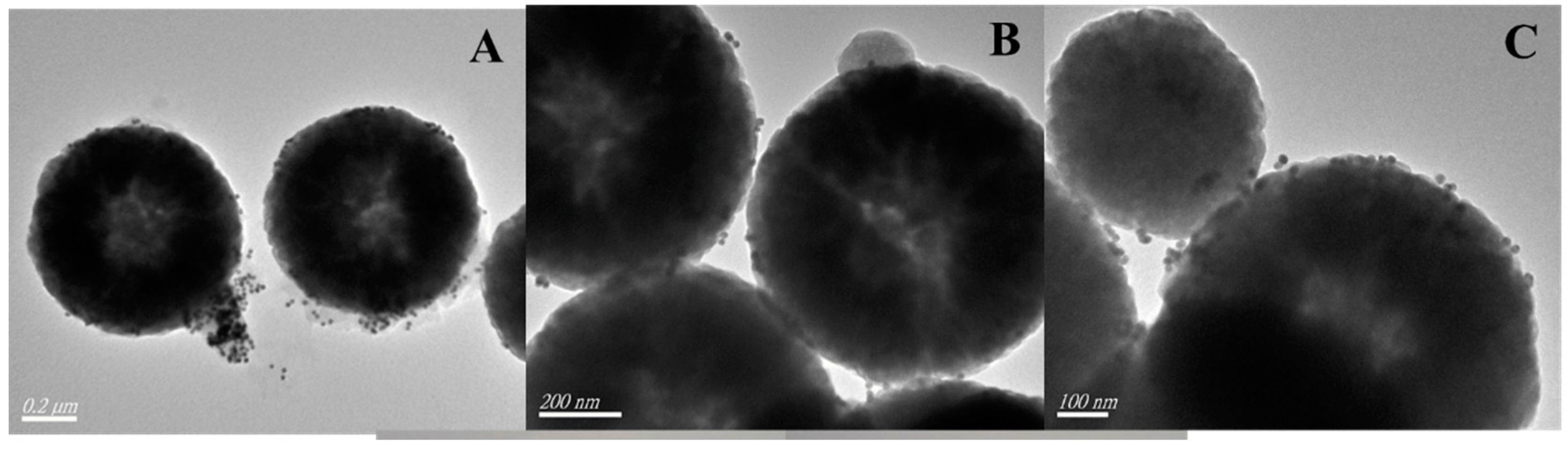 Biosensors 13 00351 g002
