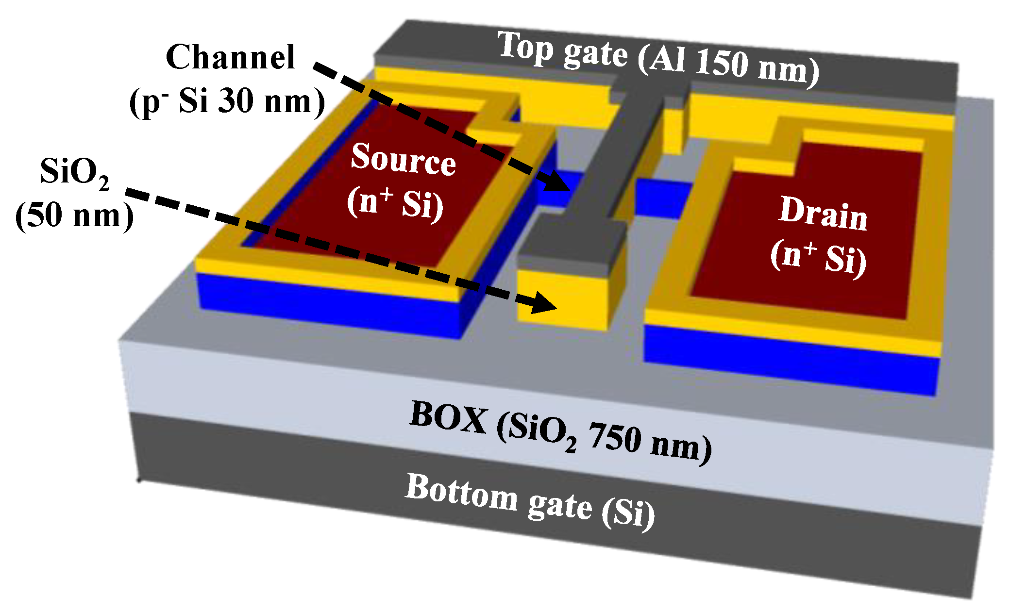 Biosensors 13 00516 g001