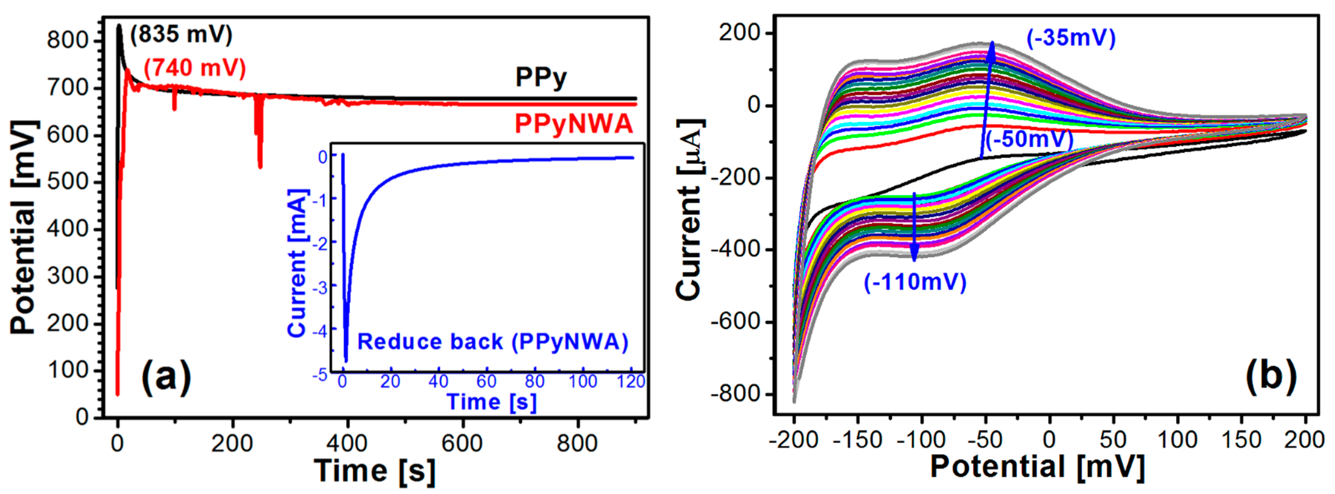 Biosensors 13 00621 g001