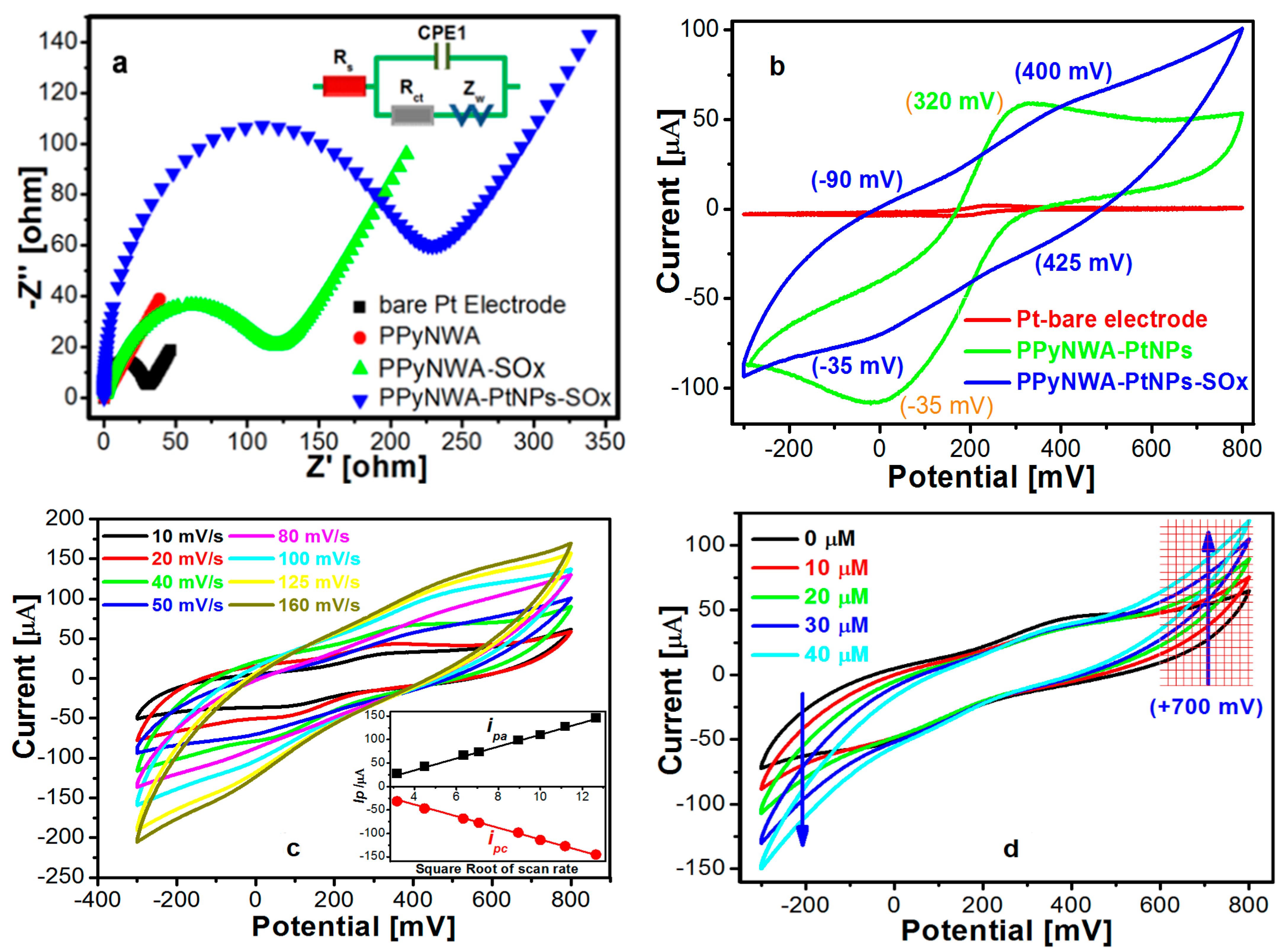 Biosensors 13 00621 g003