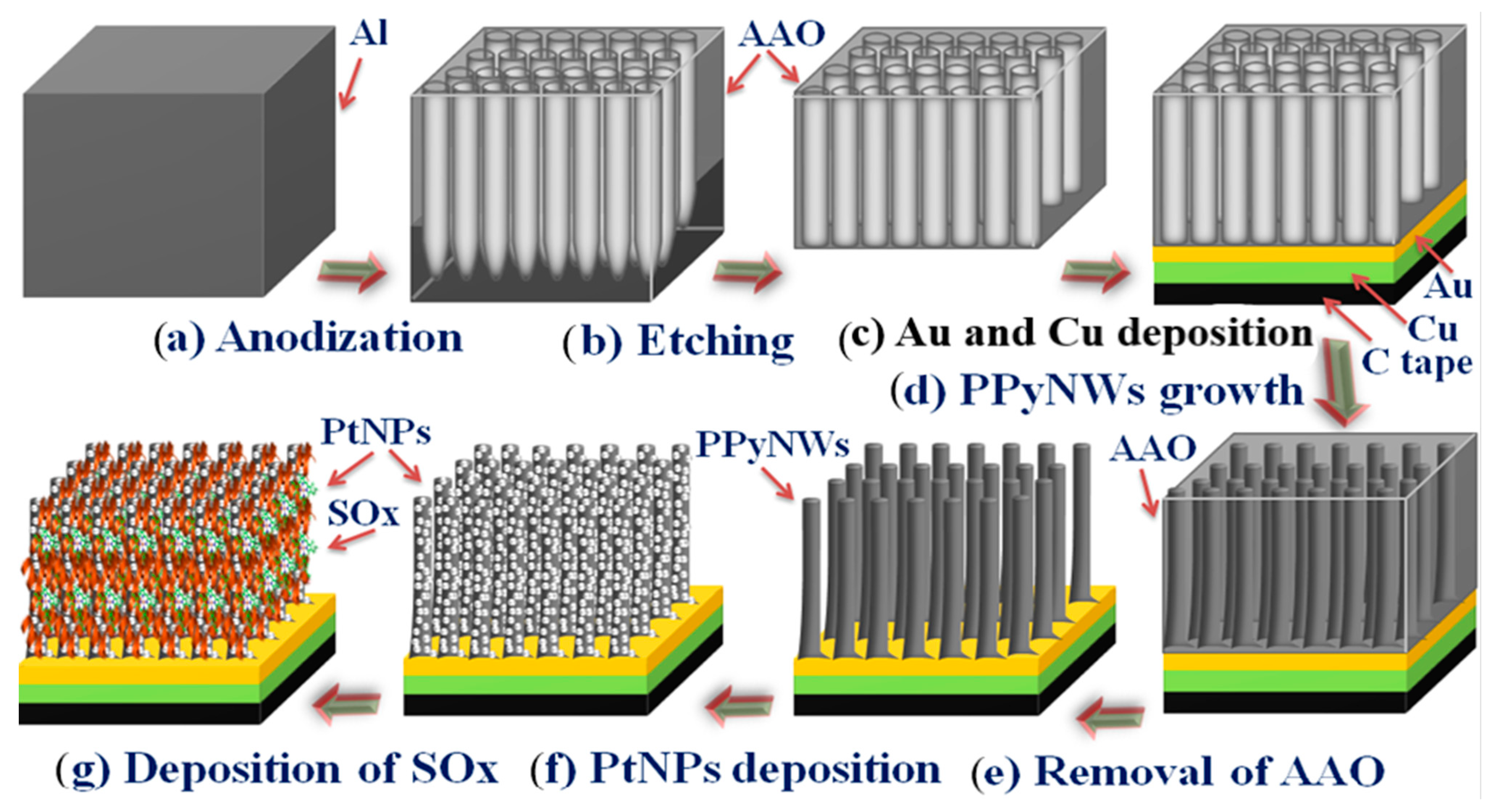 Biosensors 13 00621 sch001