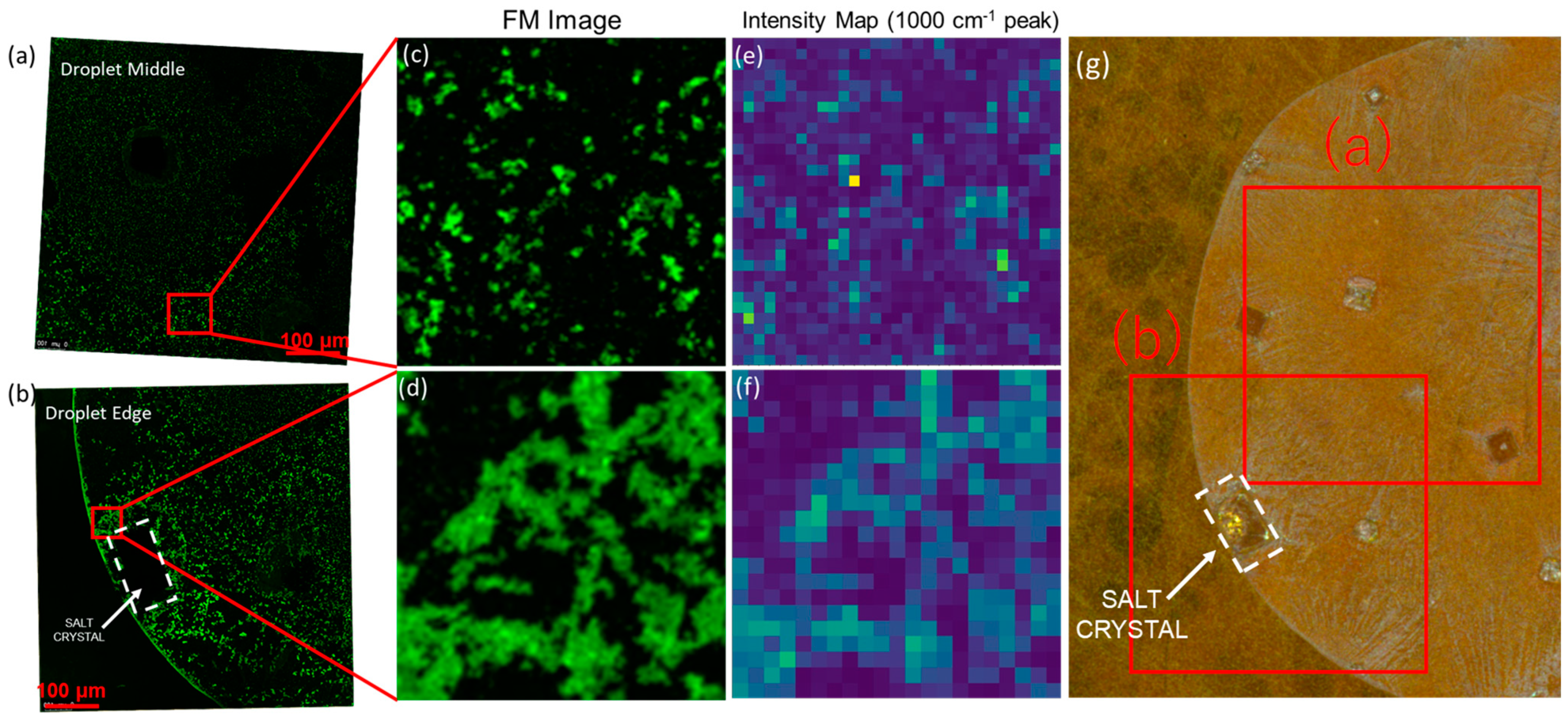 Biosensors 13 01016 g002