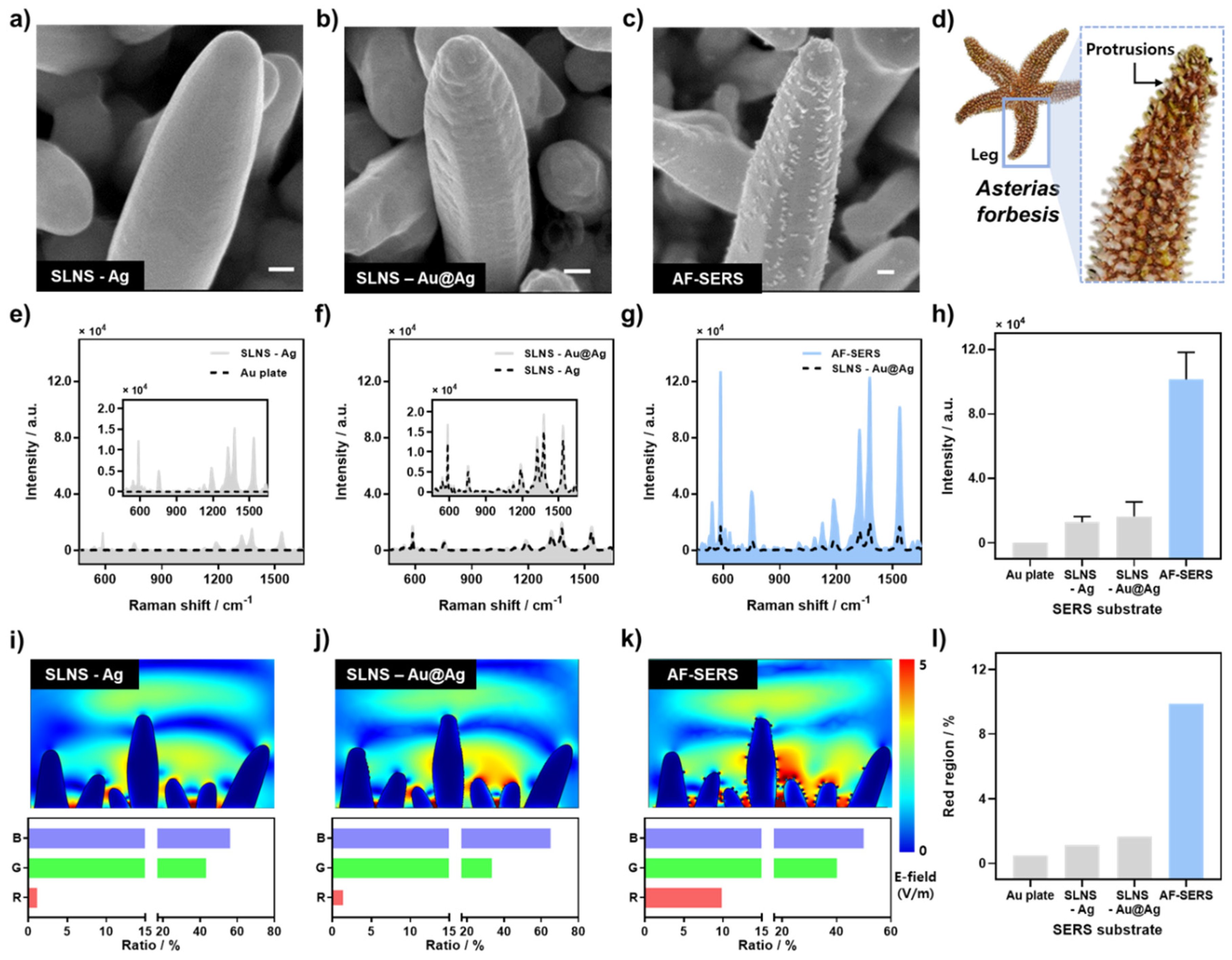 Biosensors 14 00008 g001