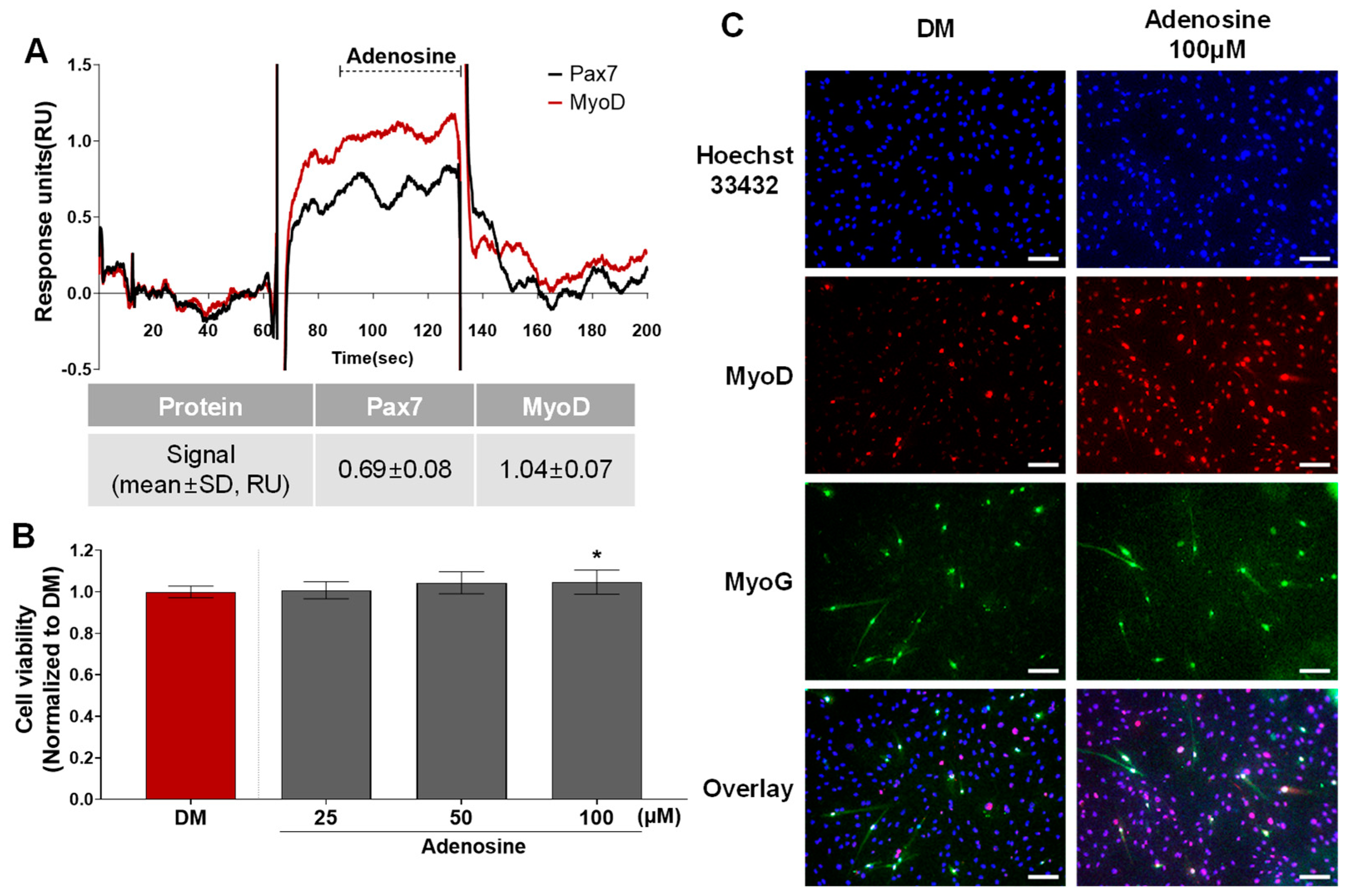 Biosensors 14 00024 g005