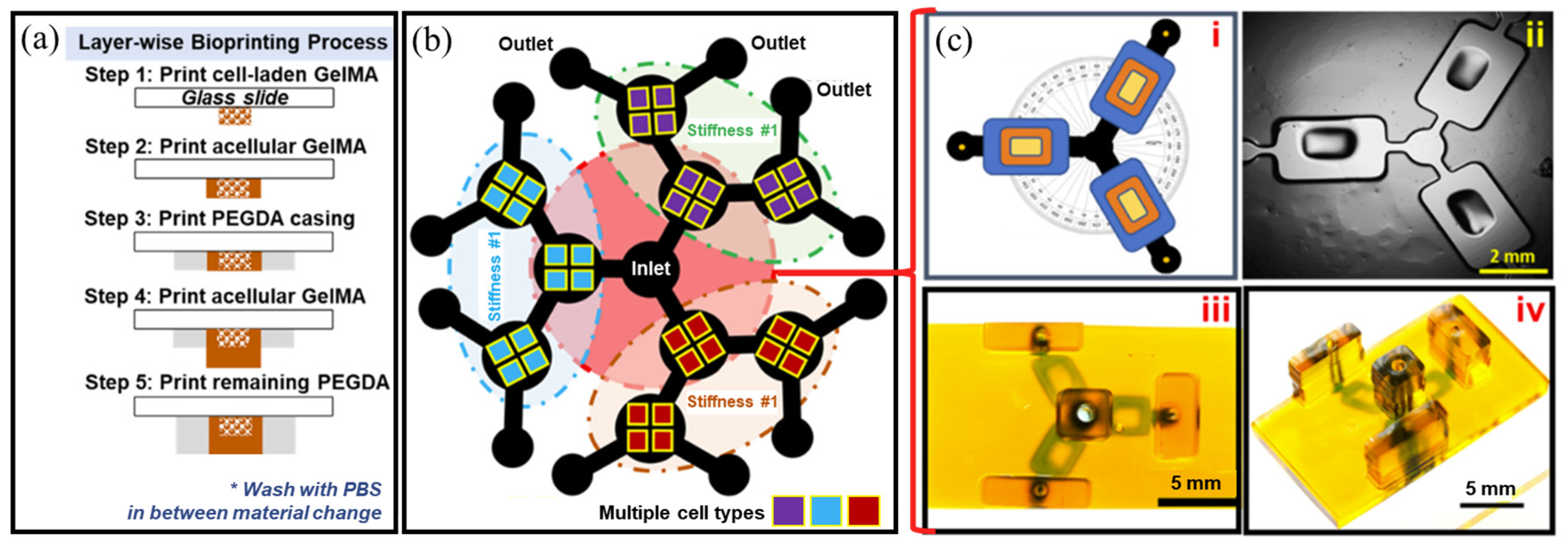Biosensors 14 00055 g006