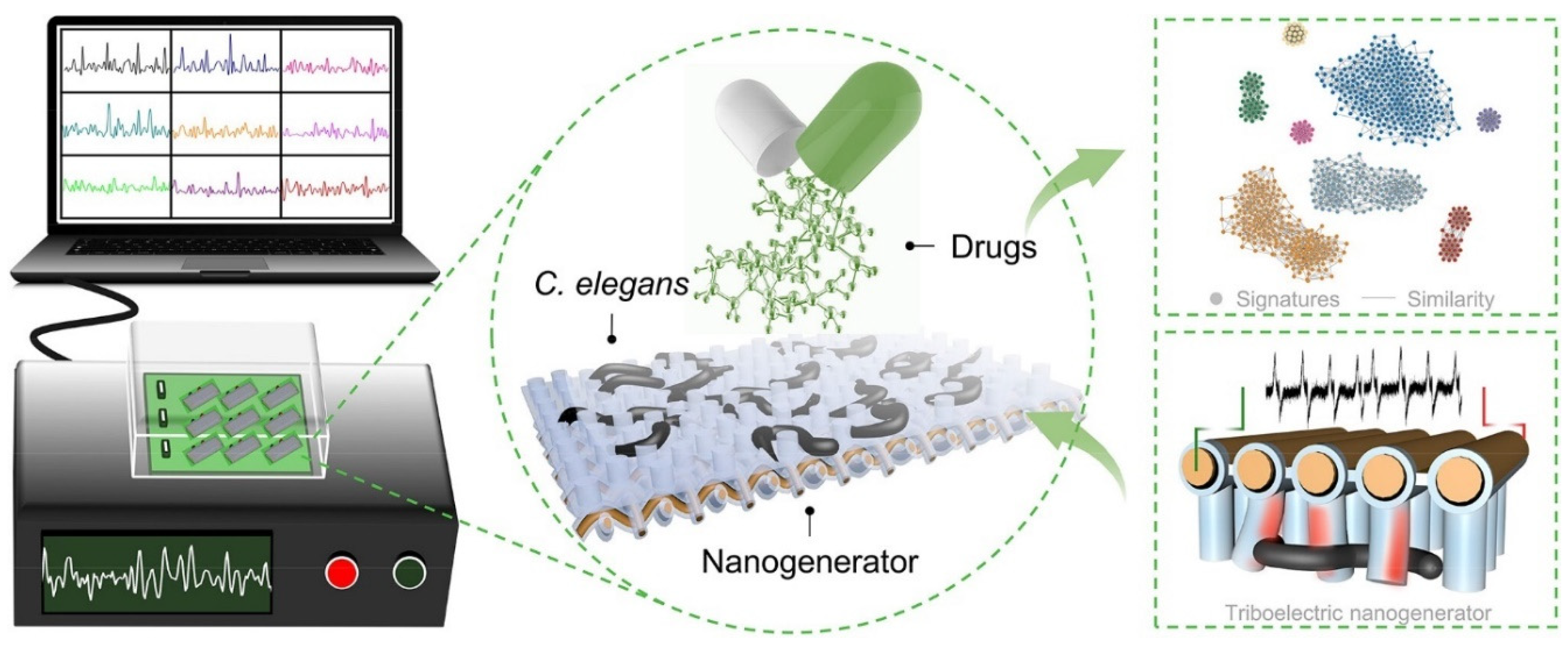 Biosensors 14 00055 g011