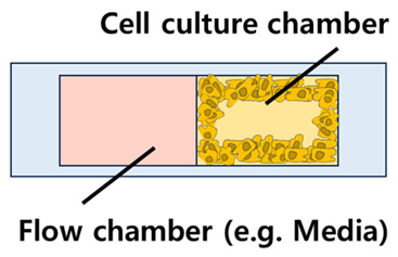 Biosensors 14 00055 i001