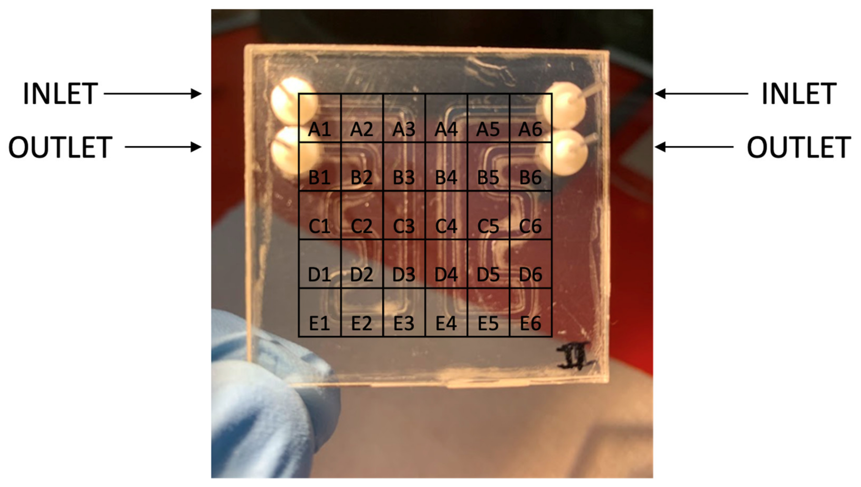 Biosensors 14 00072 g008