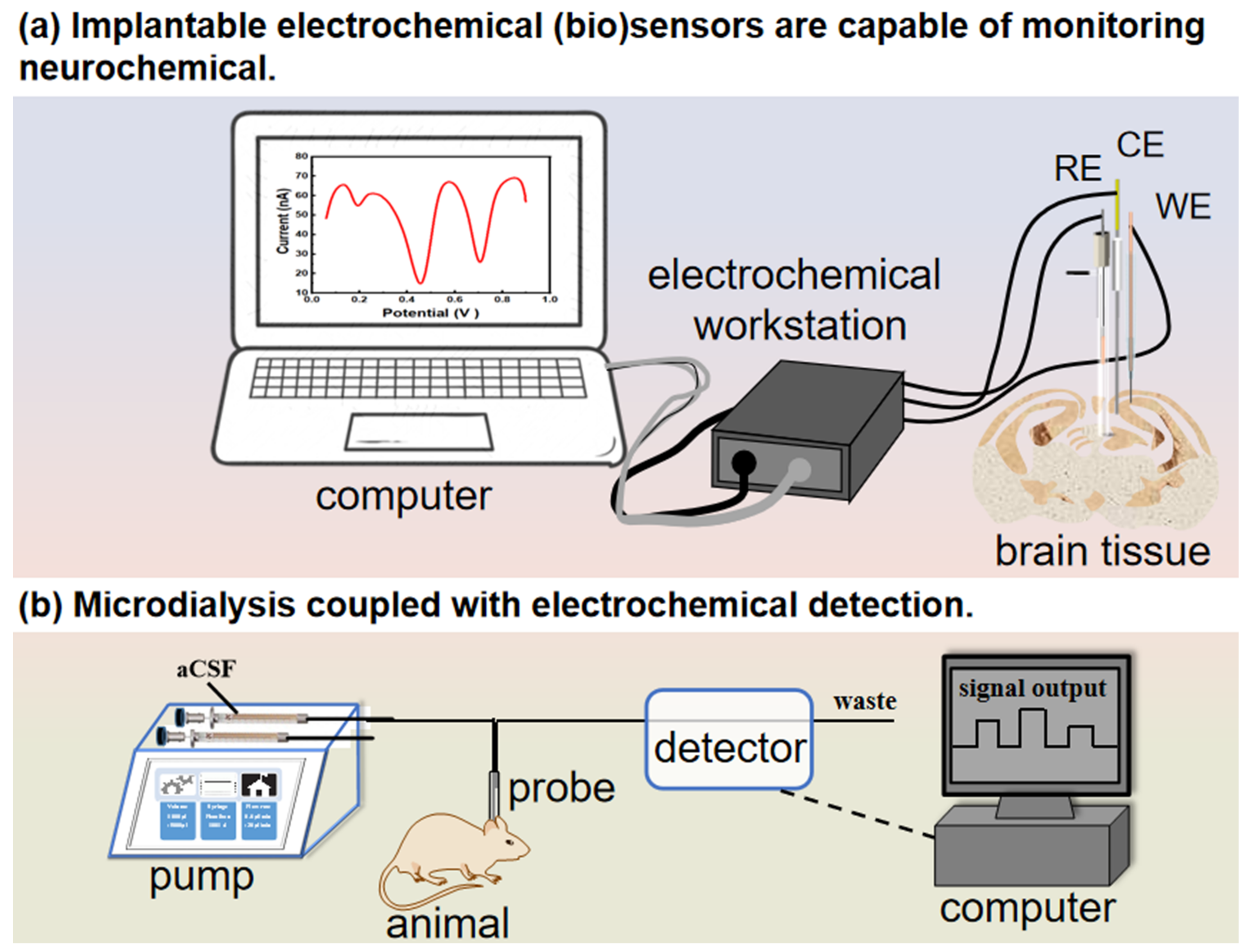 Biosensors 14 00125 g003