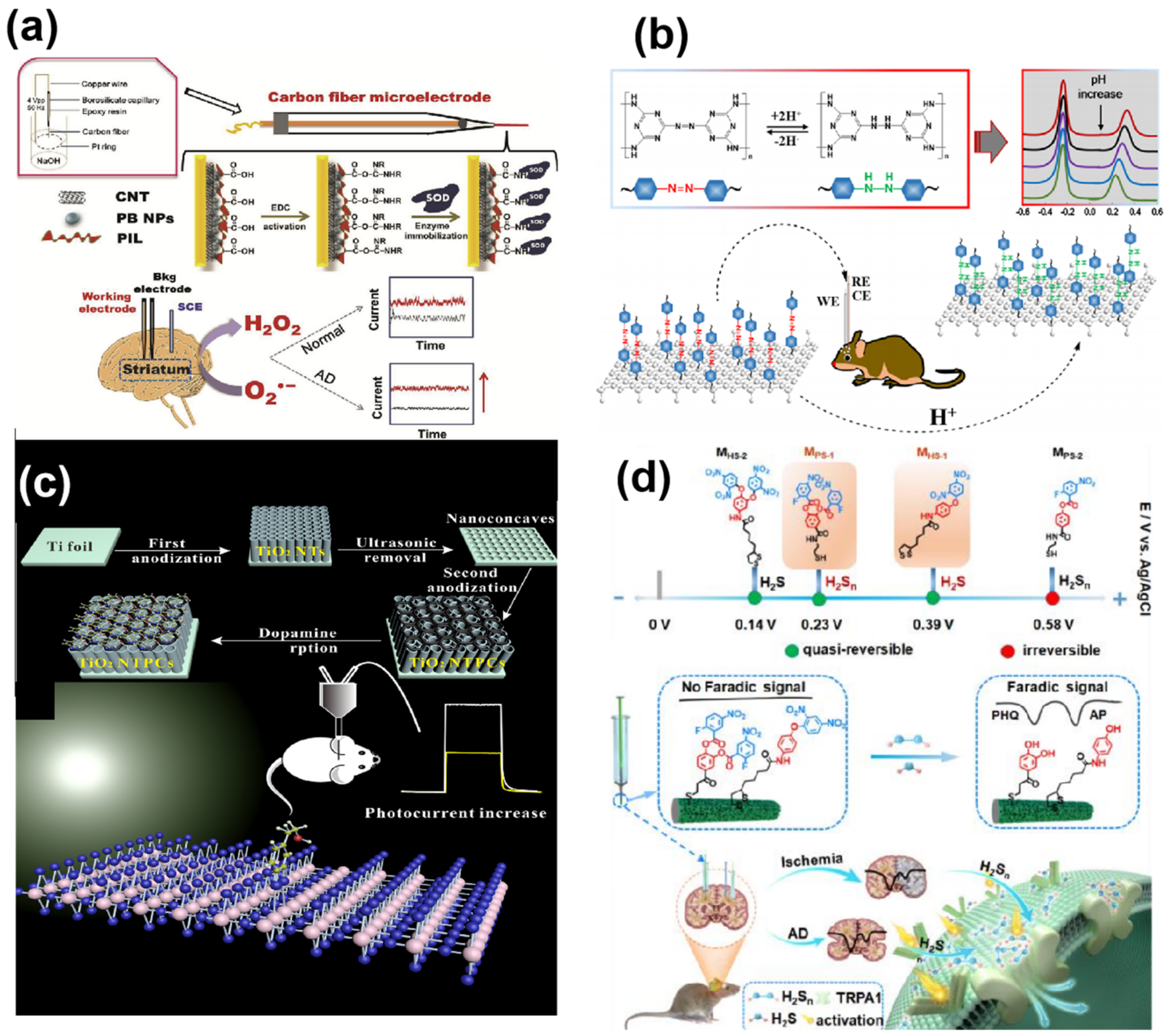 Biosensors 14 00125 g004