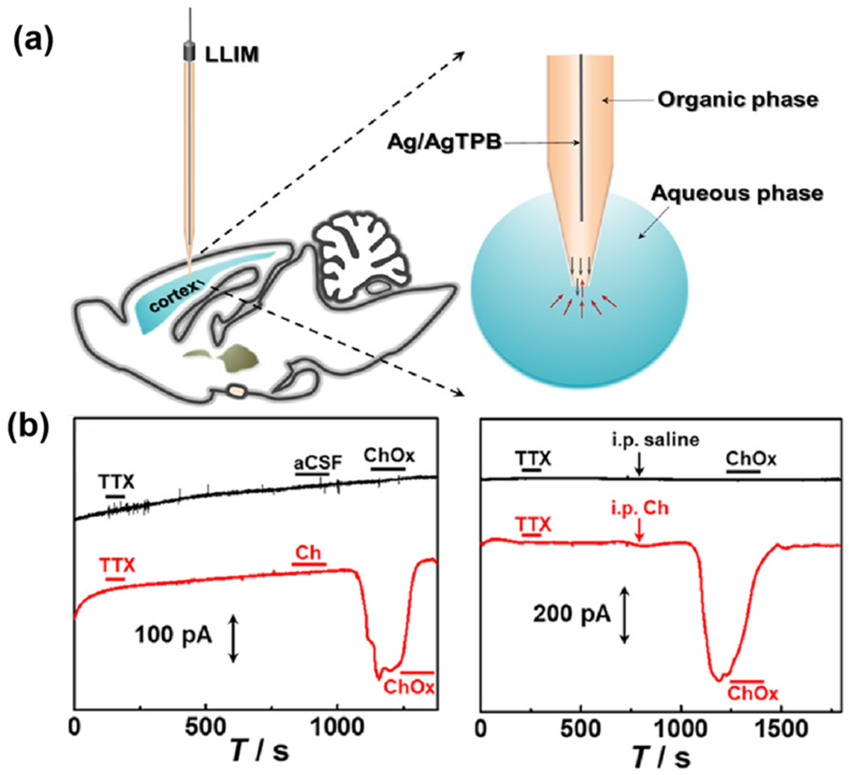 Biosensors 14 00125 g008