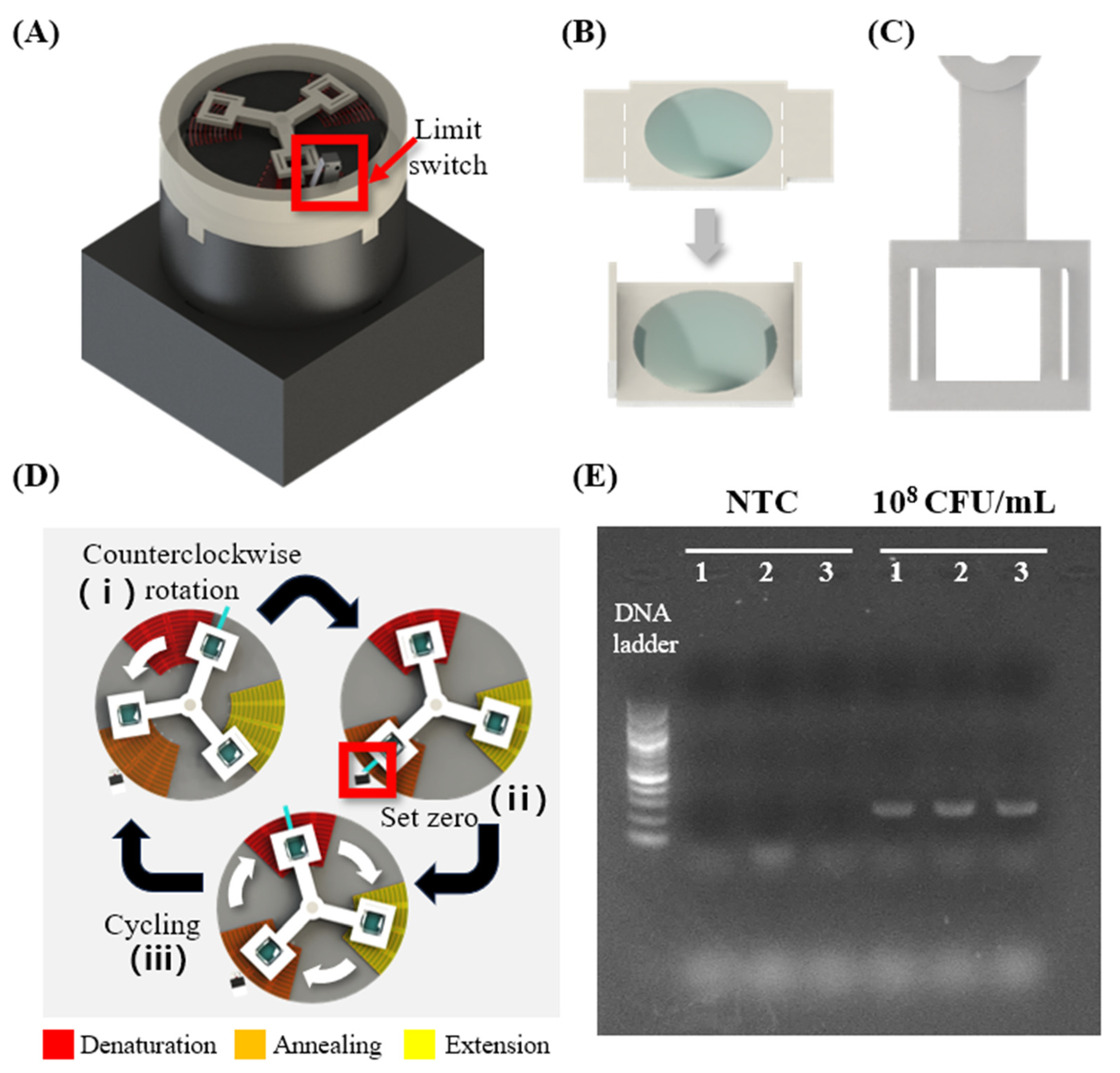 Biosensors 14 00152 g005