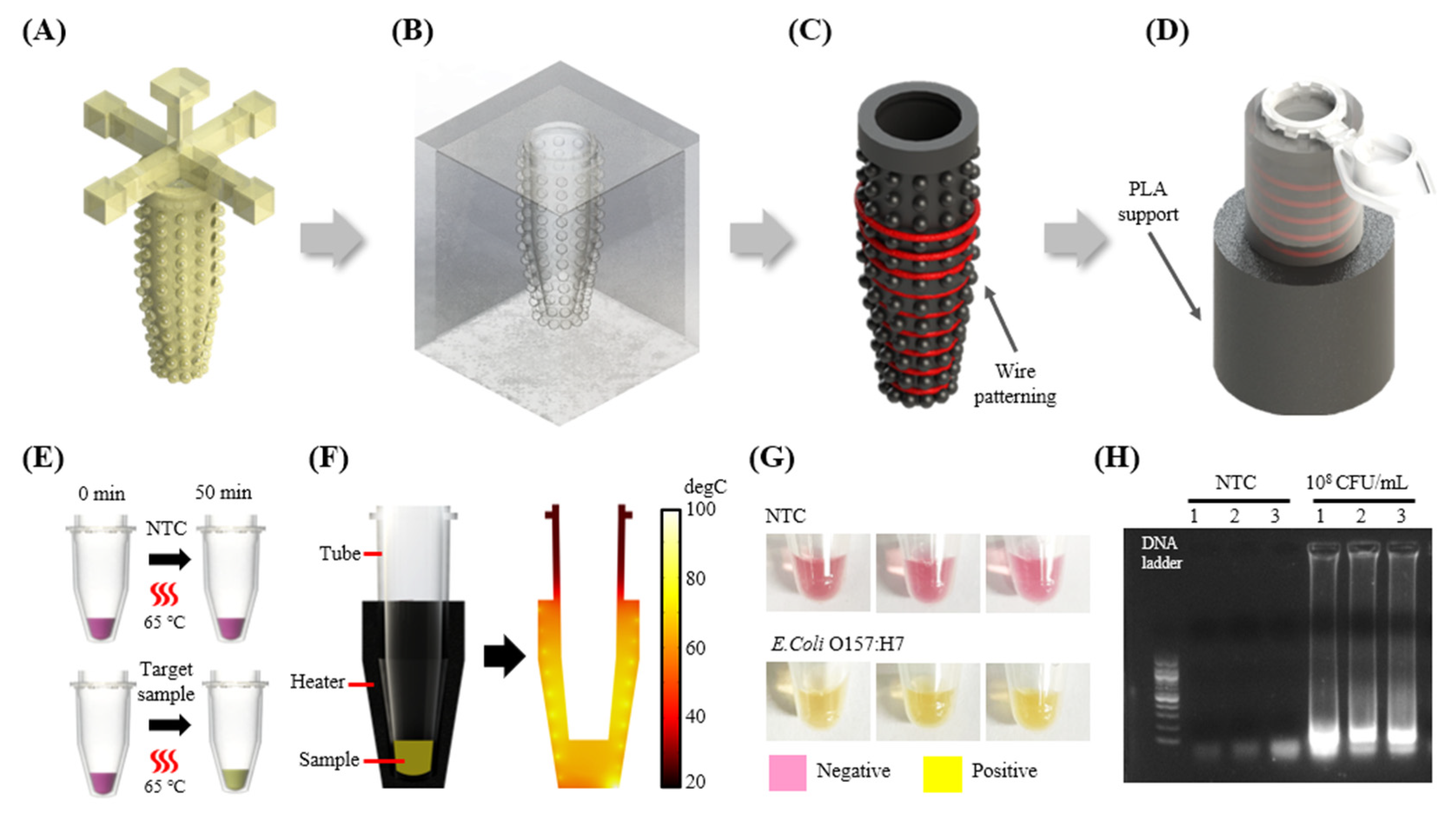 Biosensors 14 00152 g006