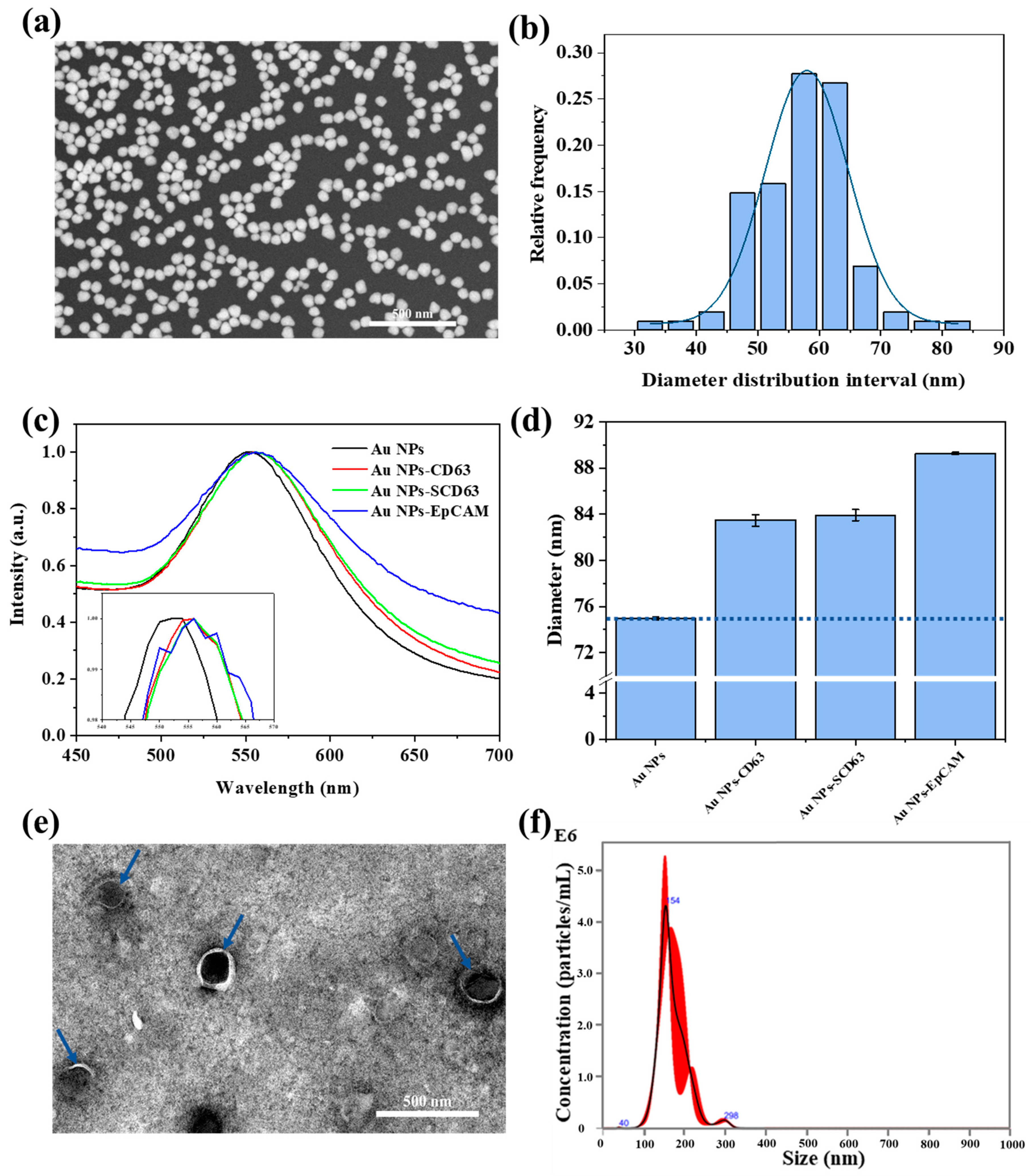 Biosensors 14 00198 g003
