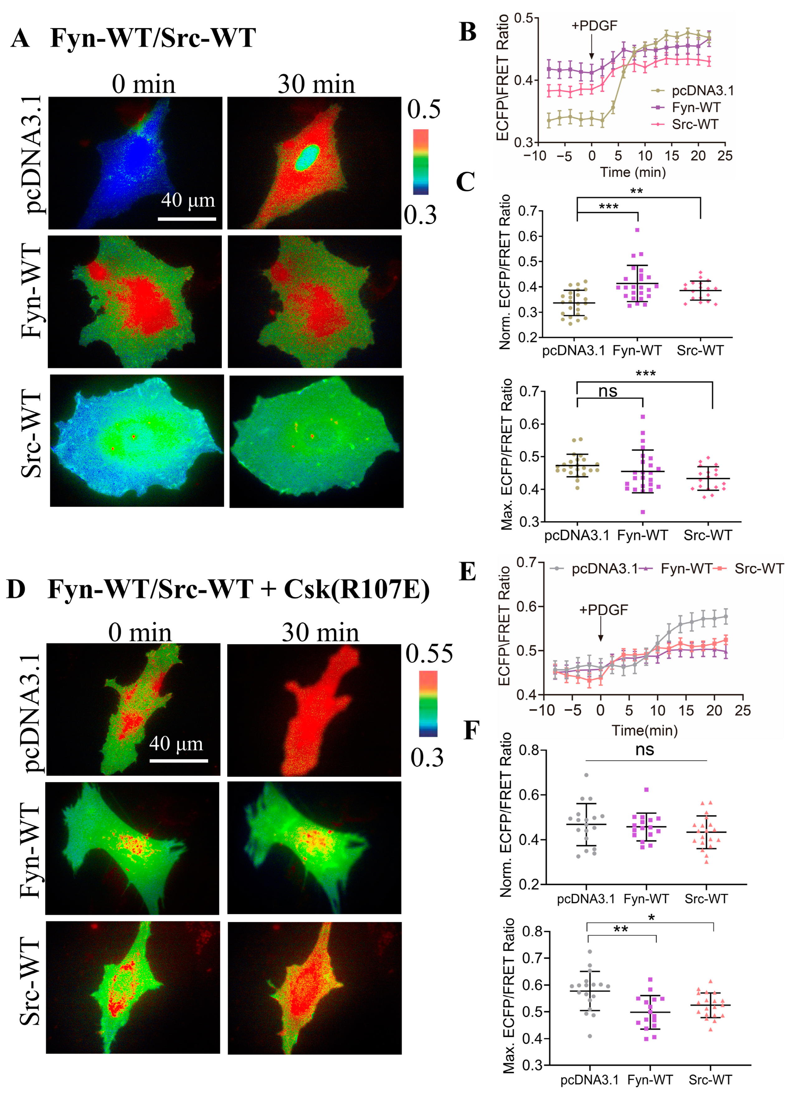 Biosensors 14 00206 g003