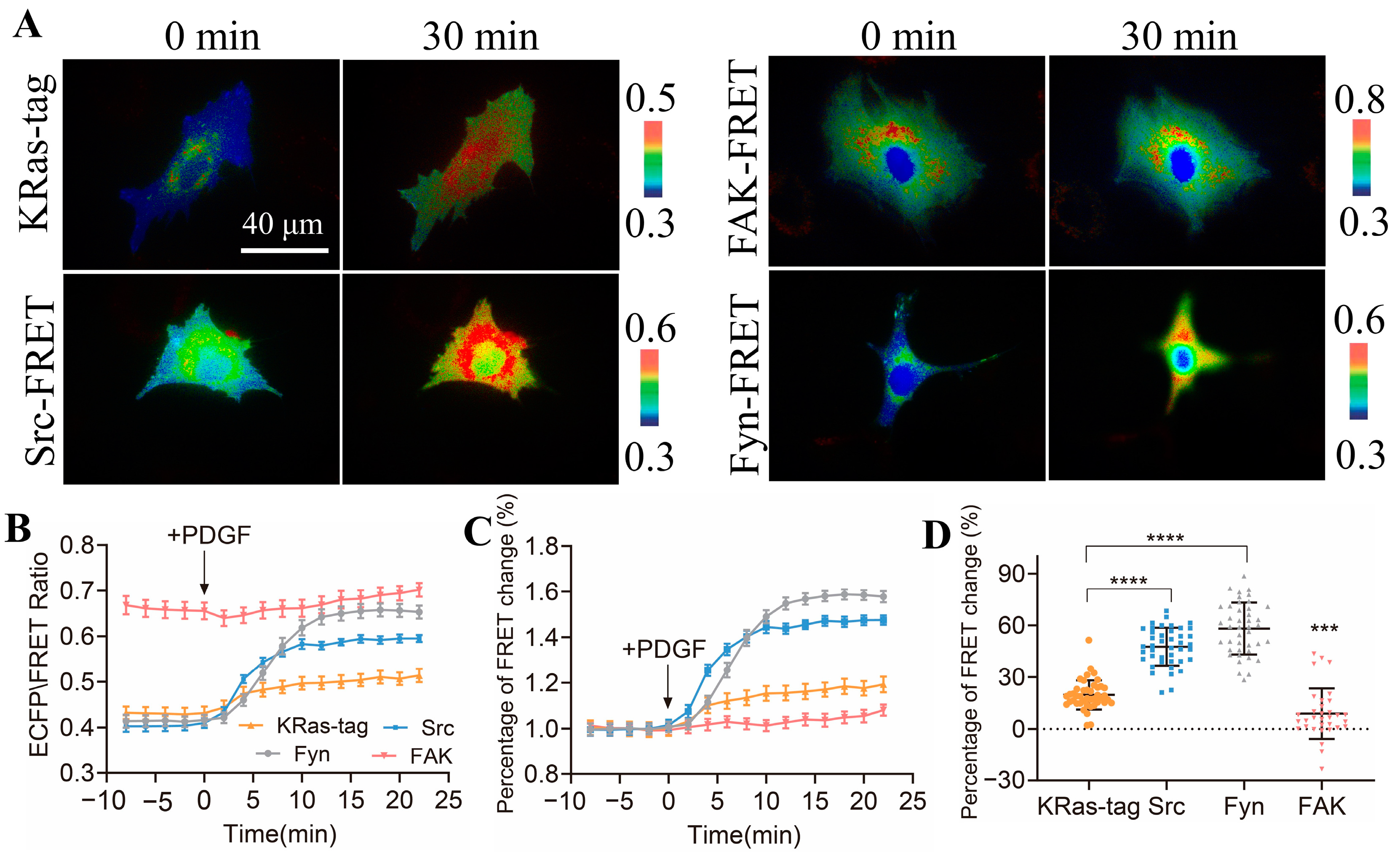 Biosensors 14 00206 g004