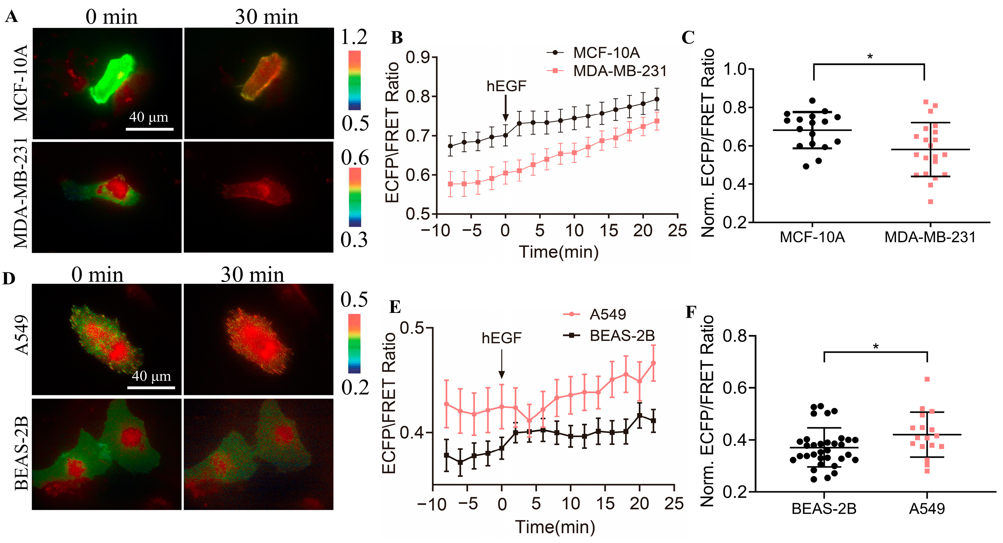 Biosensors 14 00206 g006