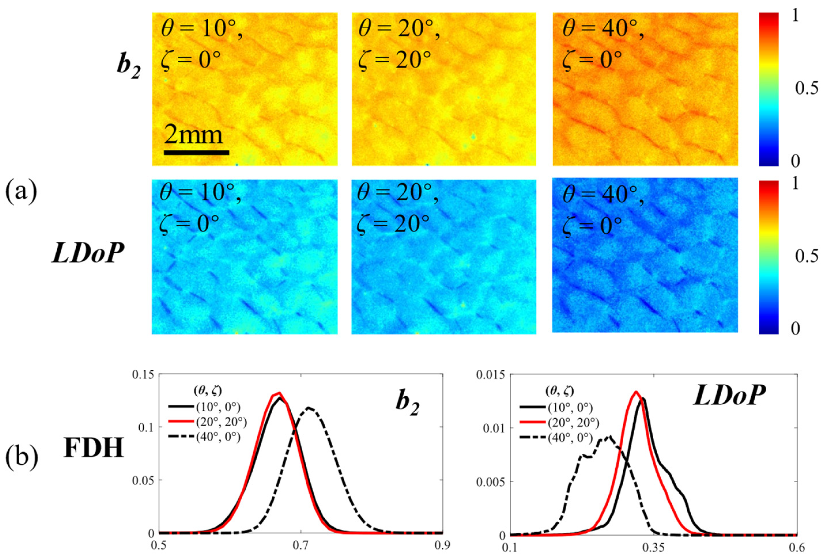 Biosensors 14 00208 g005