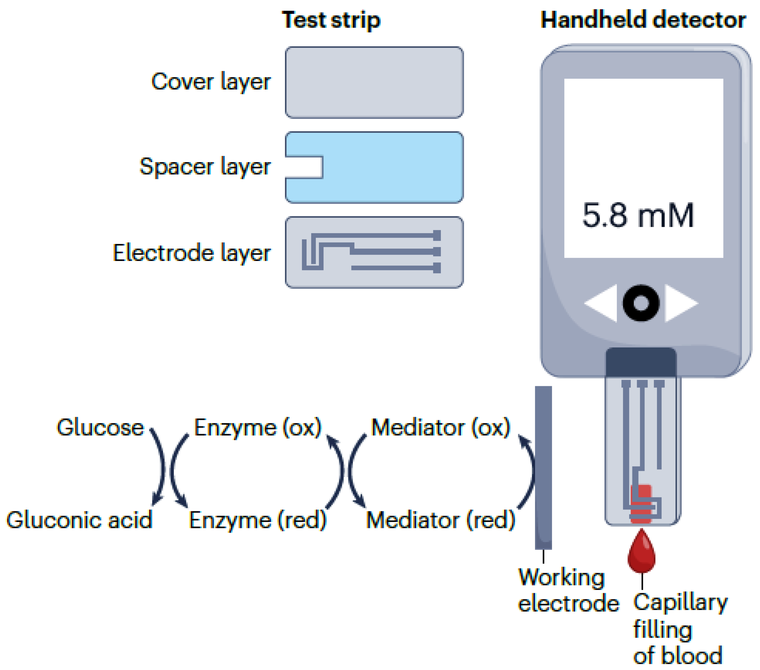Biosensors 14 00214 g003