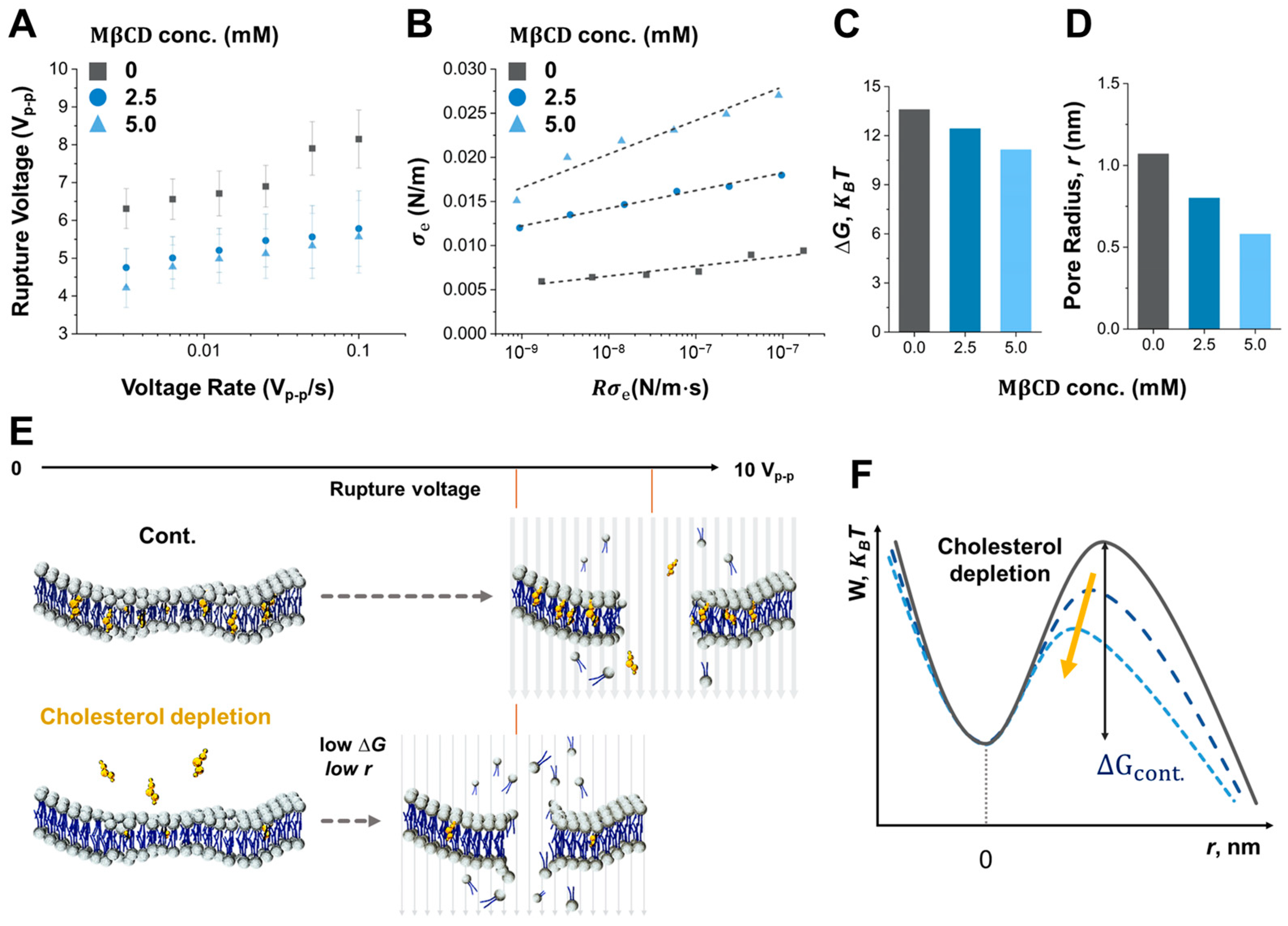 Biosensors 14 00242 g004