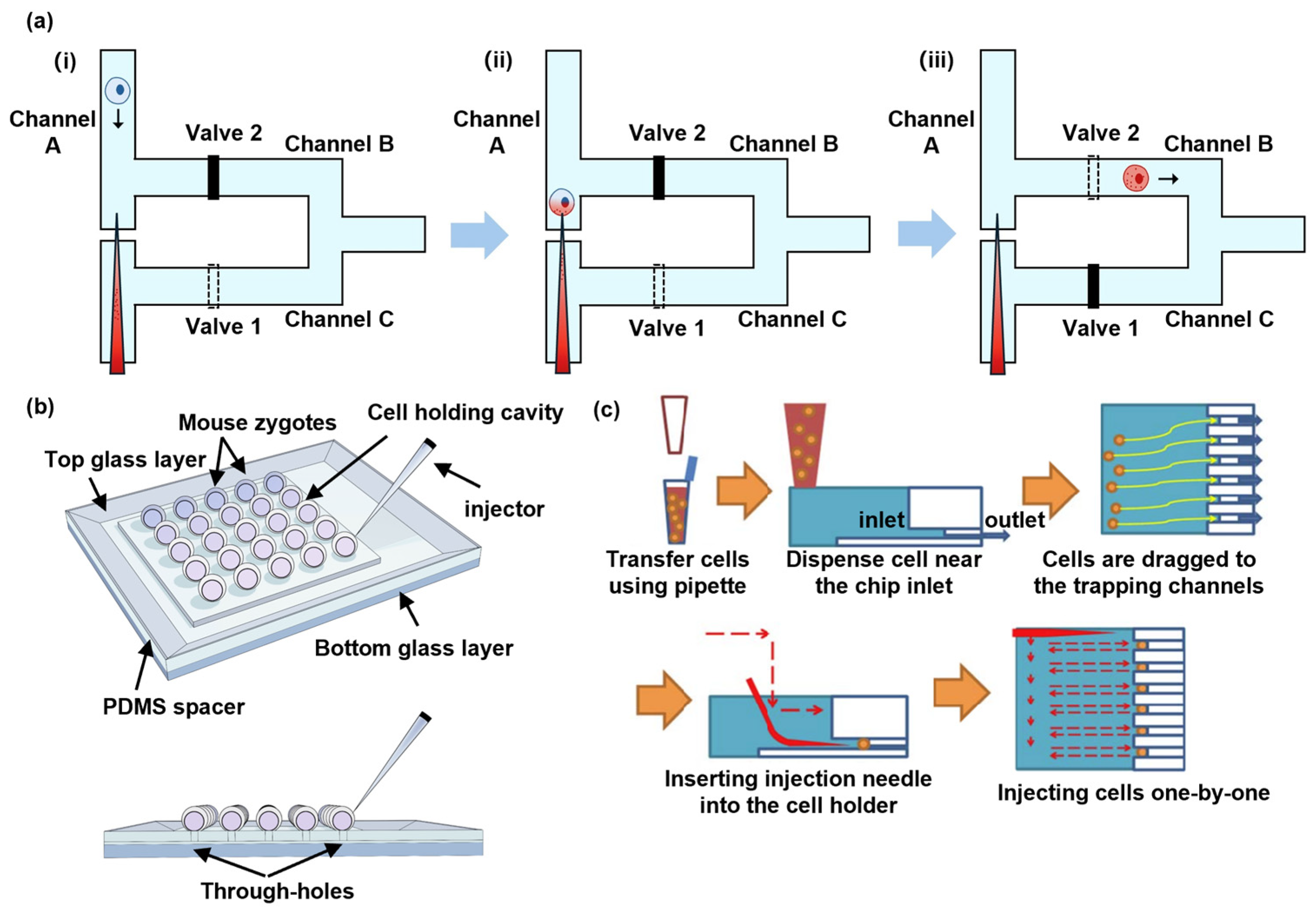 Biosensors 14 00256 g002