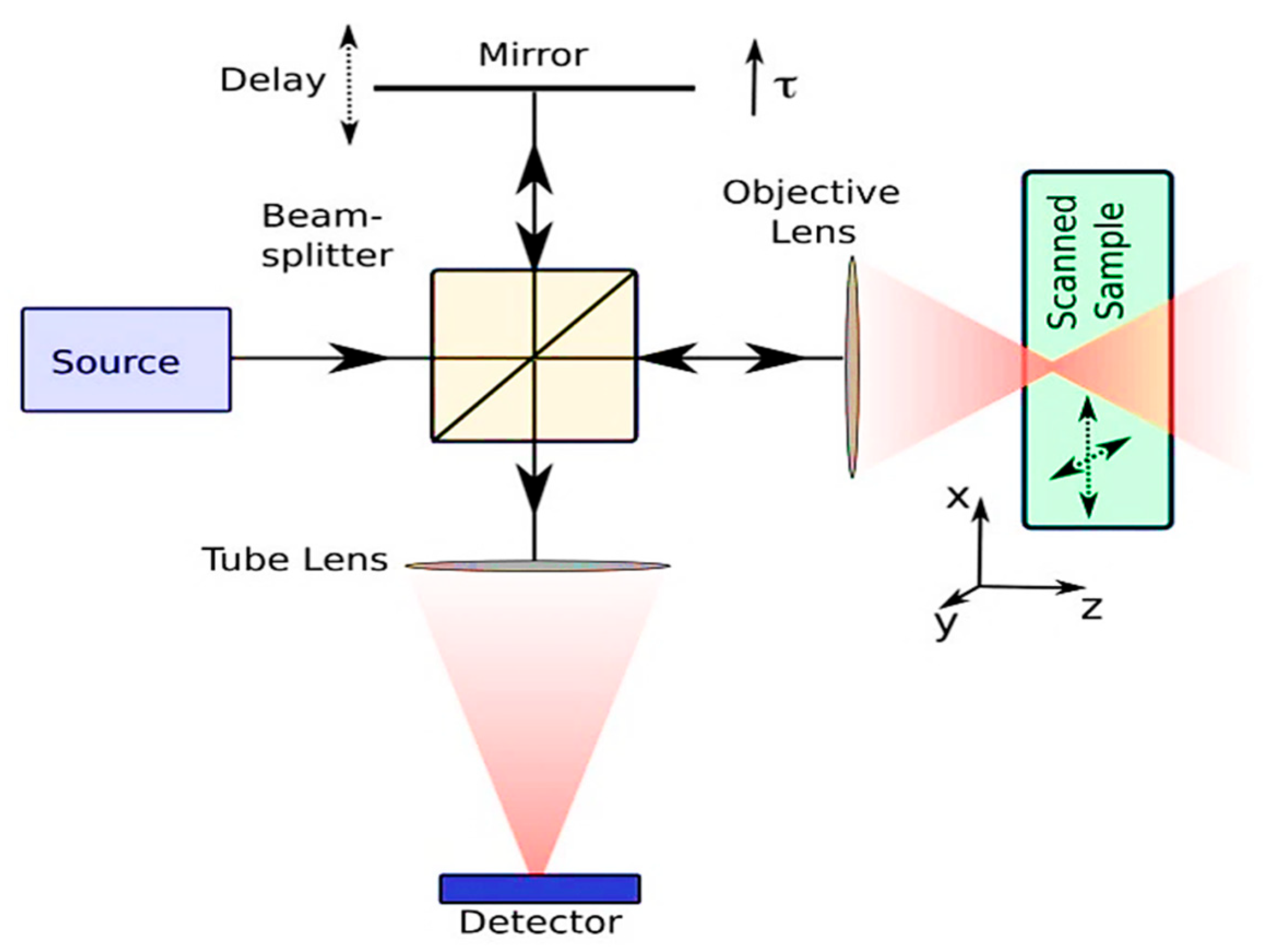 Biosensors 14 00296 g001