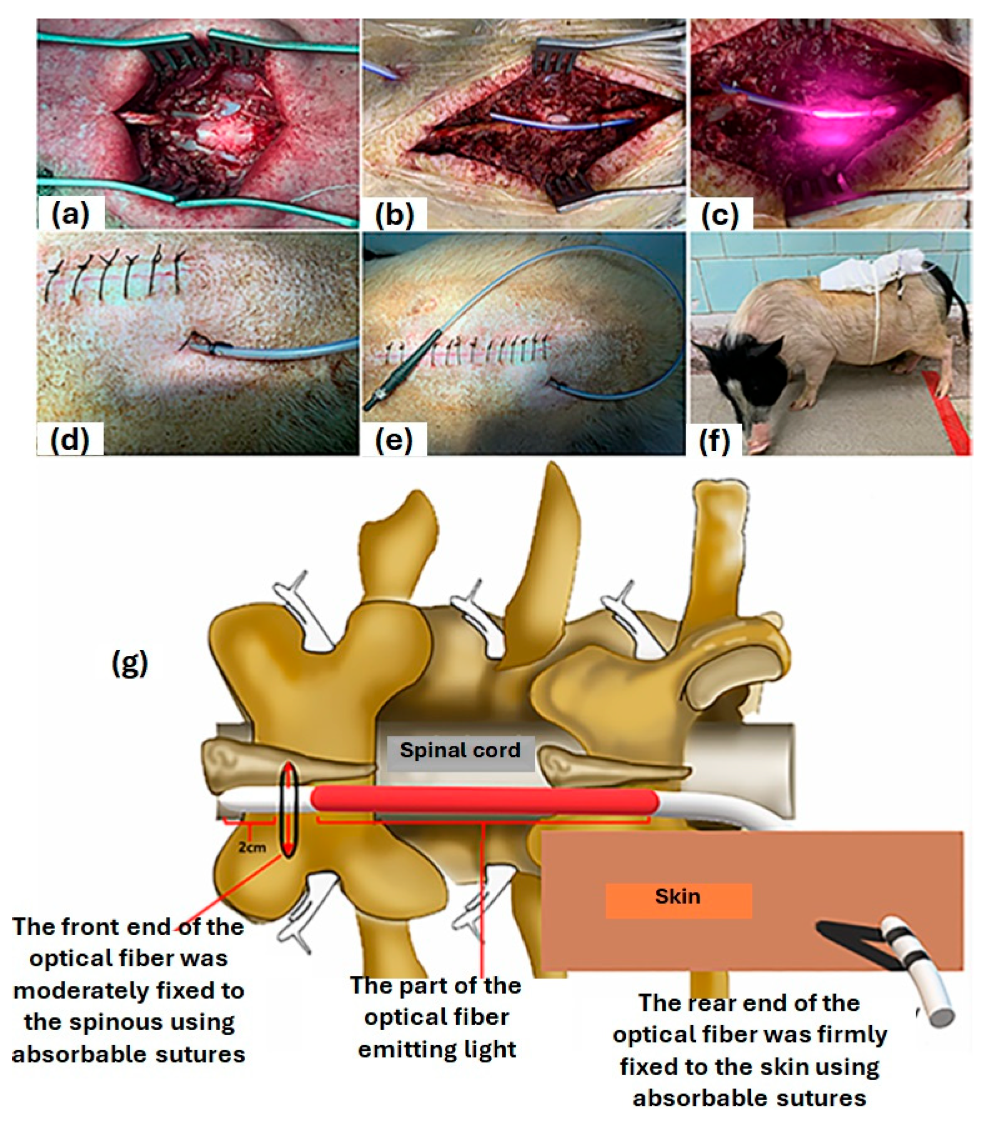Biosensors 14 00296 g009