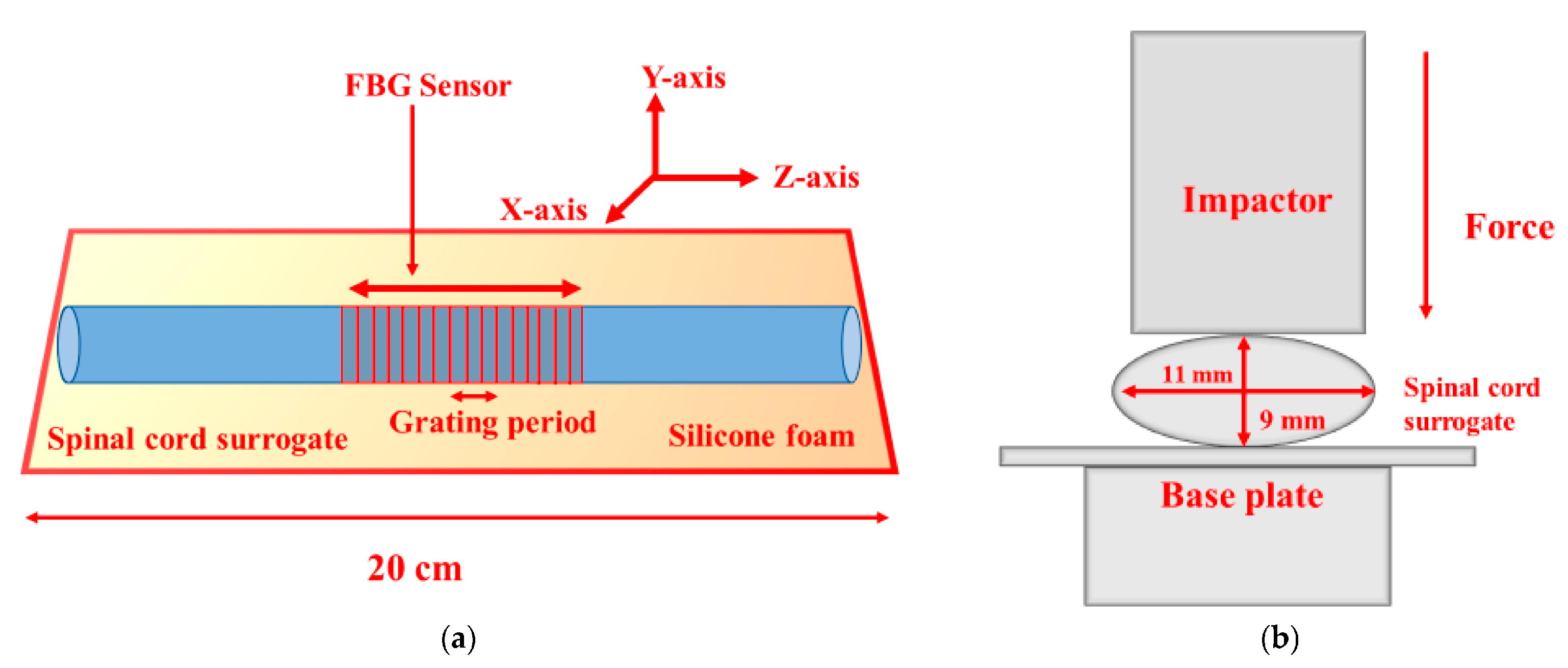 Biosensors 14 00296 g010
