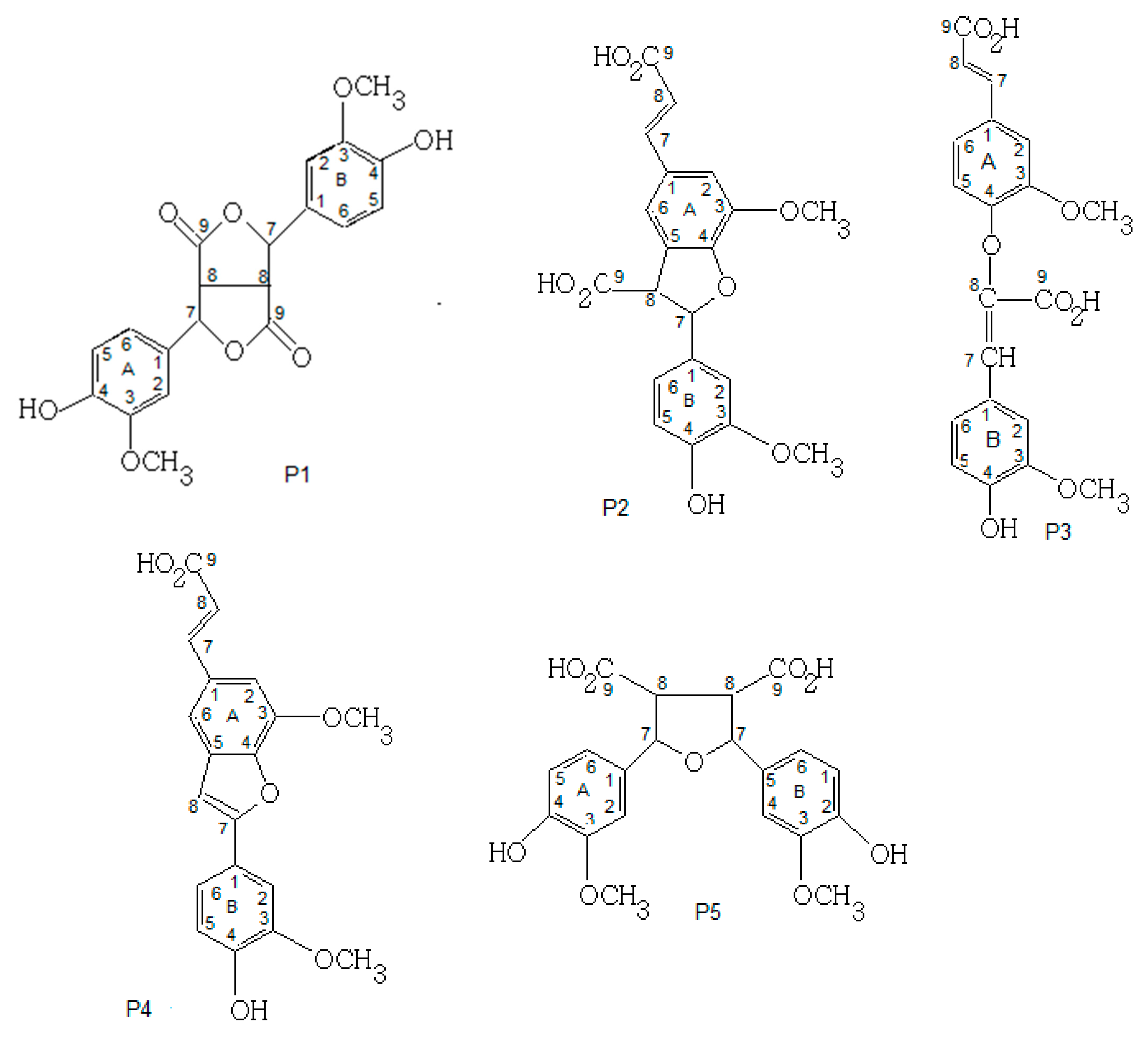 Biotech 11 00055 g003
