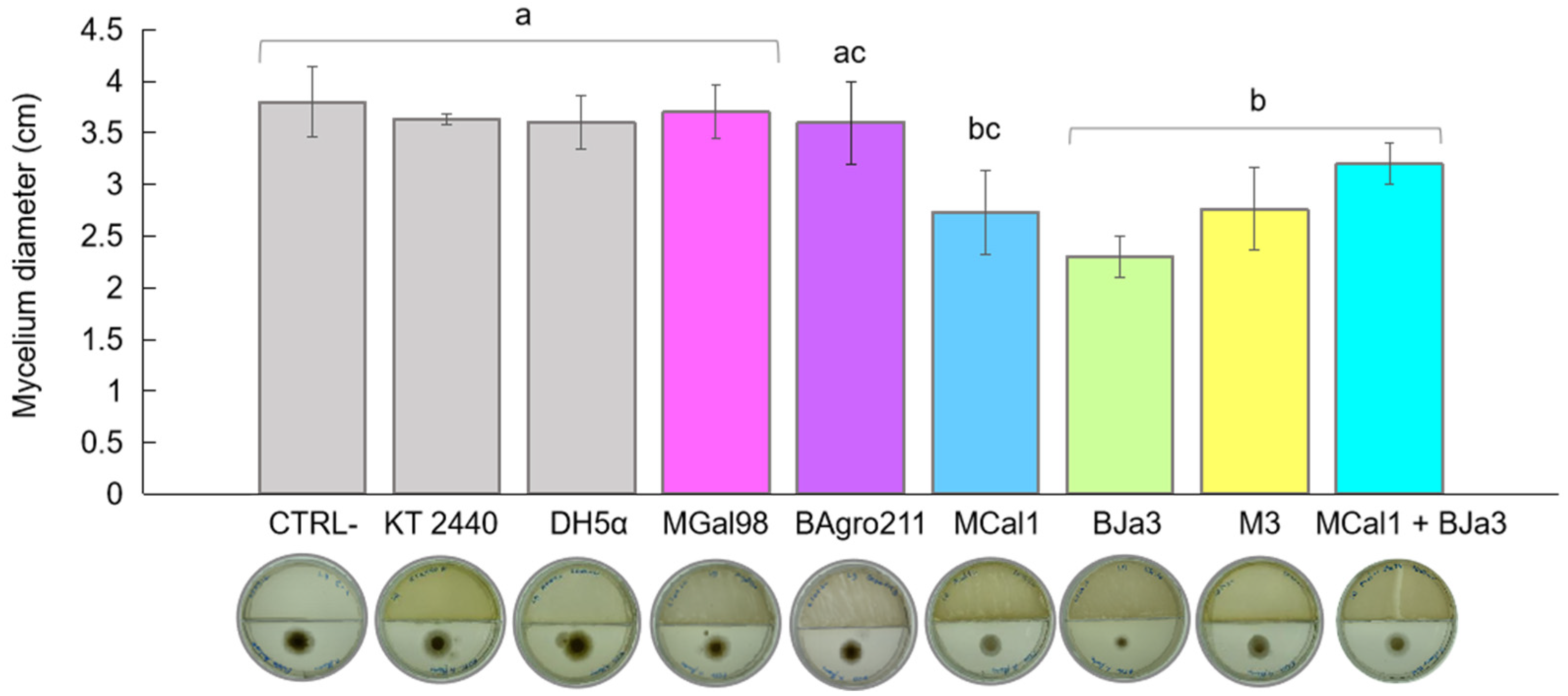 Biotech 13 00008 g001