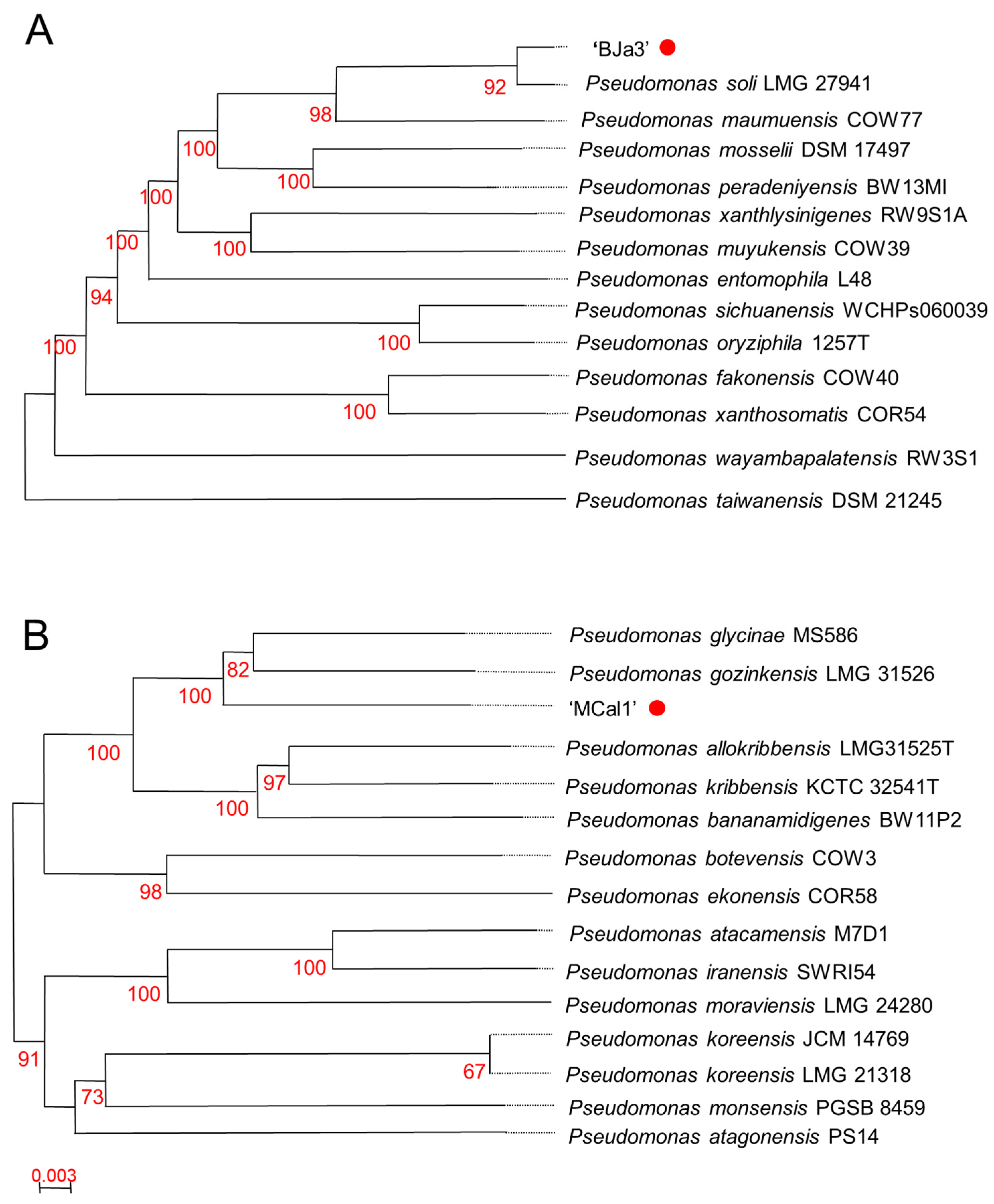 Biotech 13 00008 g002