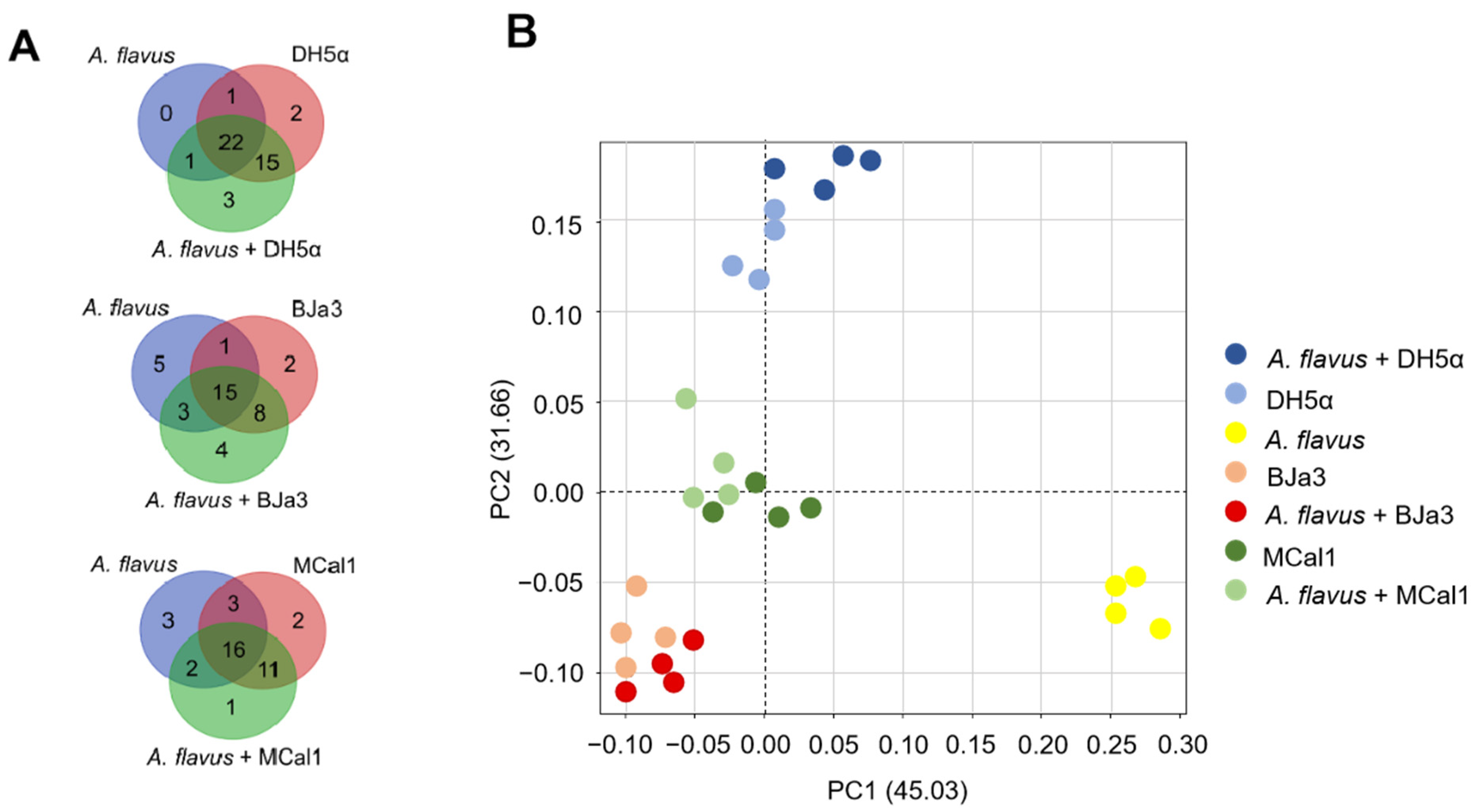 Biotech 13 00008 g005