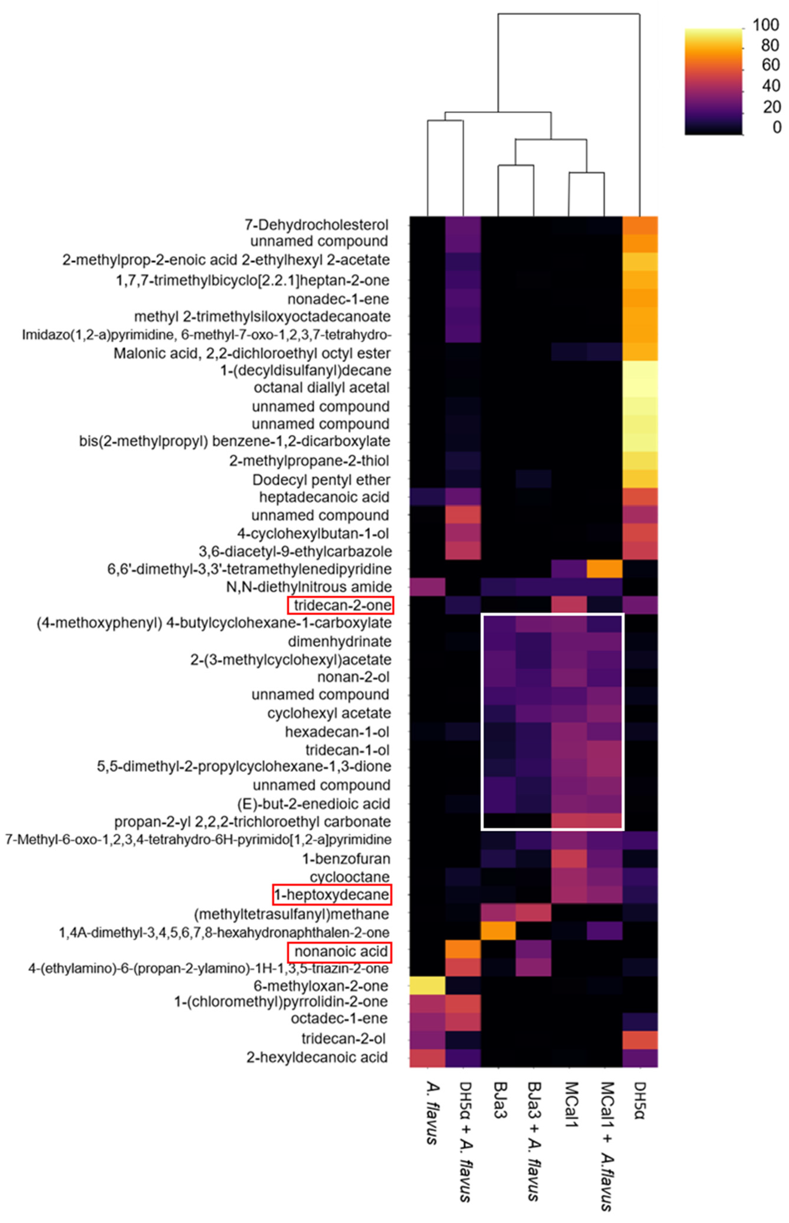 Biotech 13 00008 g006