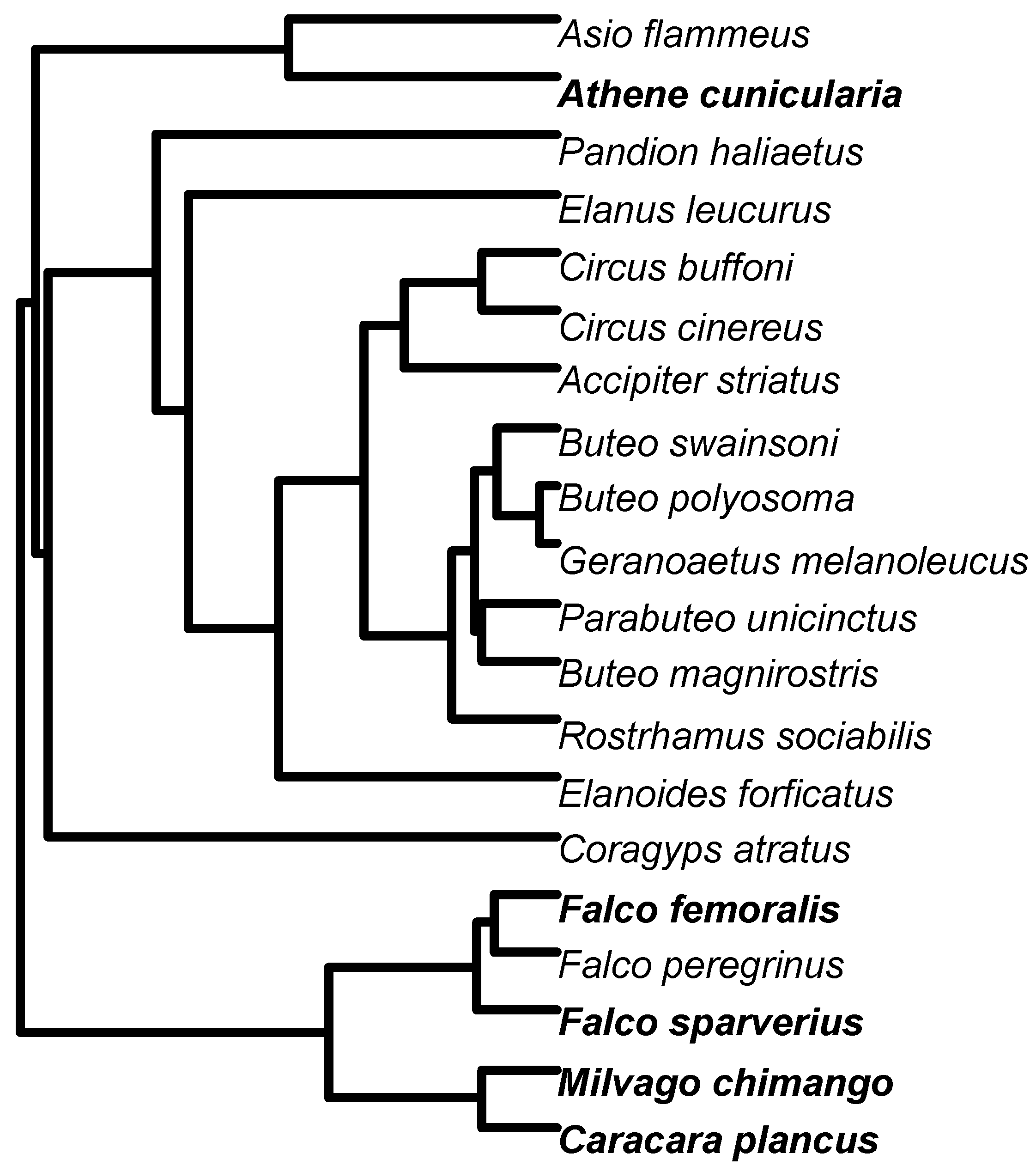 Birds 05 00003 g002 Birds 05 00003 g002