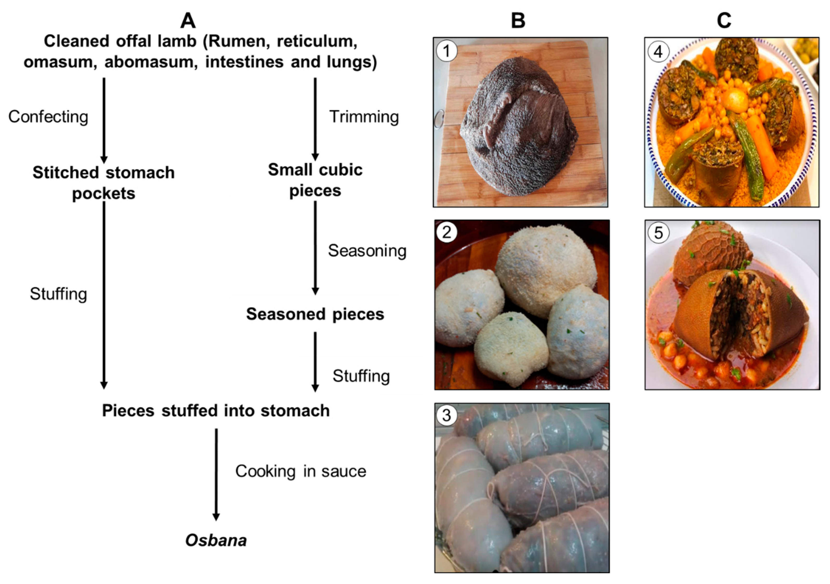 Blsf 49 00012 g001 Blsf 49 00012 g001