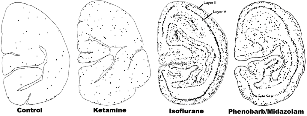 Brainsci 03 01153 g001 1024