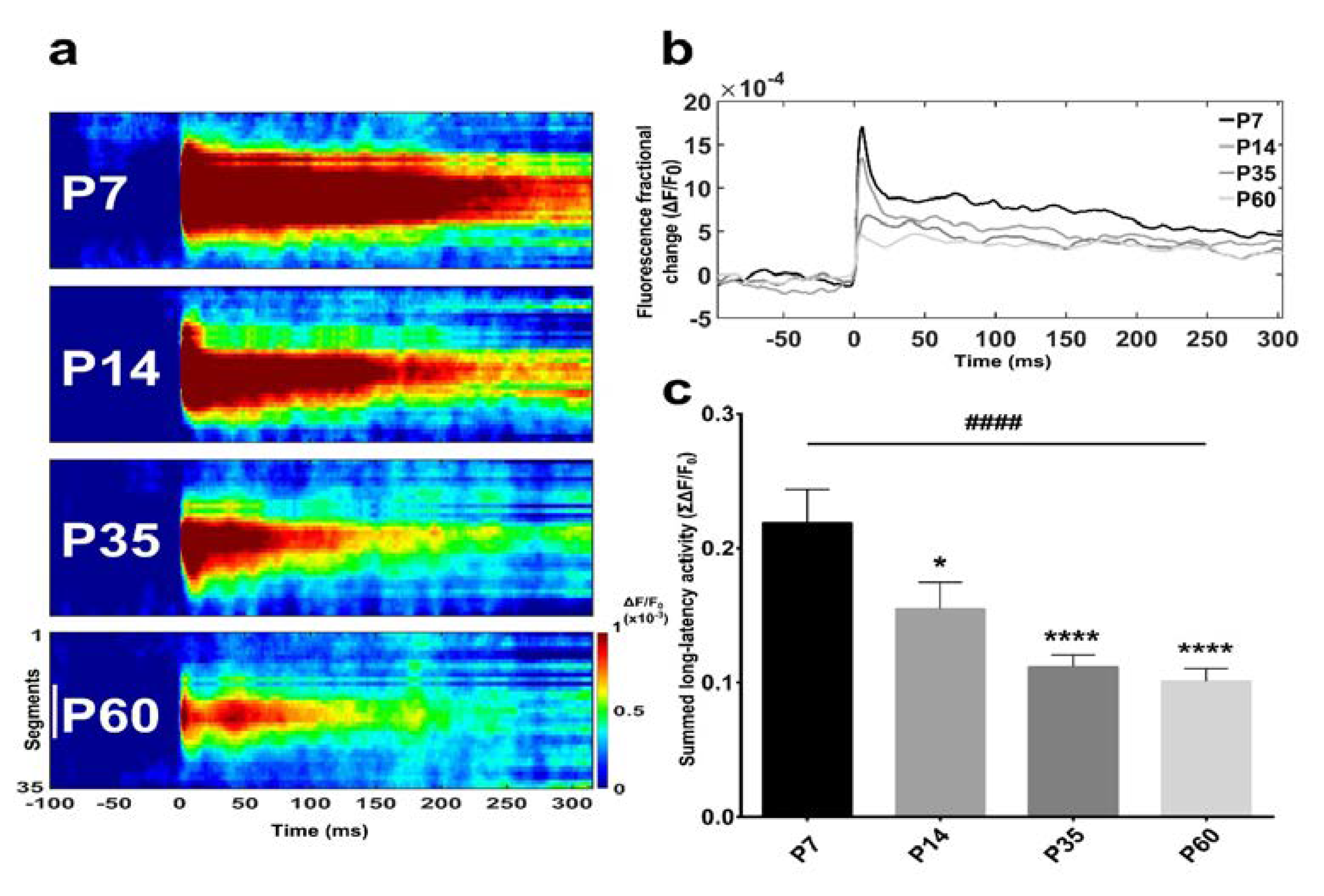 Brainsci 08 00132 g002 Brainsci 08 00132 g002