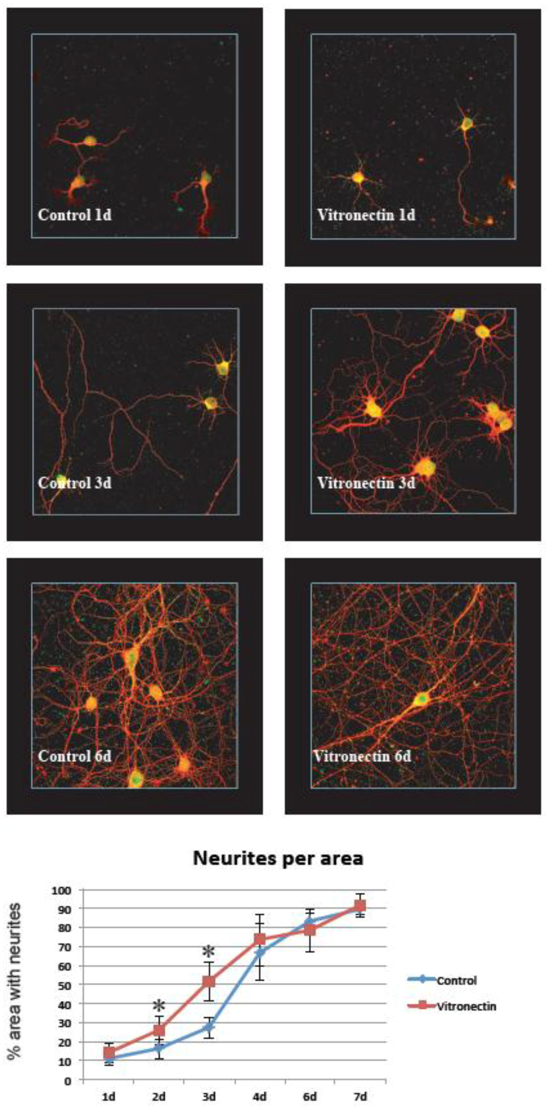 Brainsci 08 00151 g002