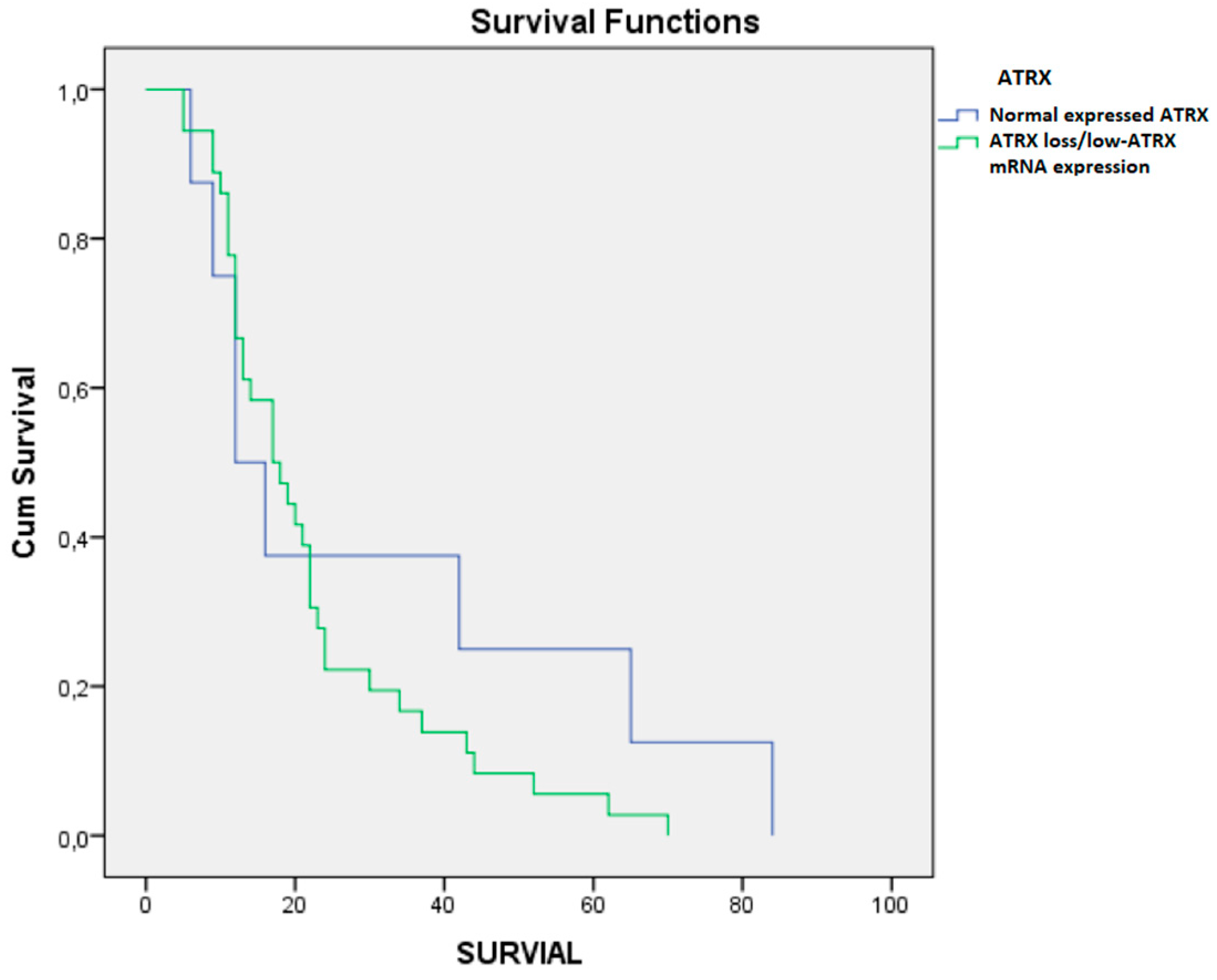 Brainsci 10 00091 g006 Brainsci 10 00091 g006