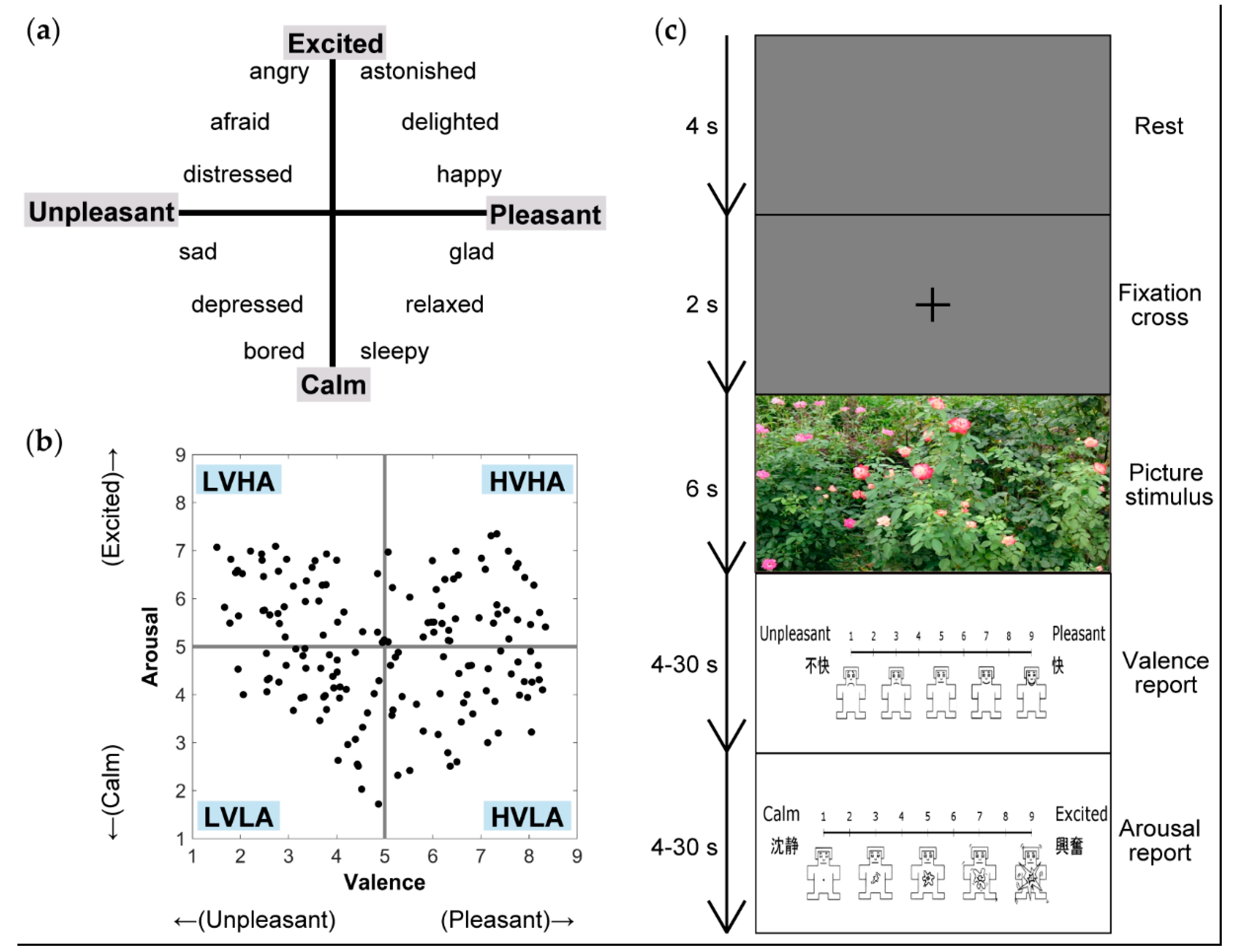 Brainsci 10 00669 g001