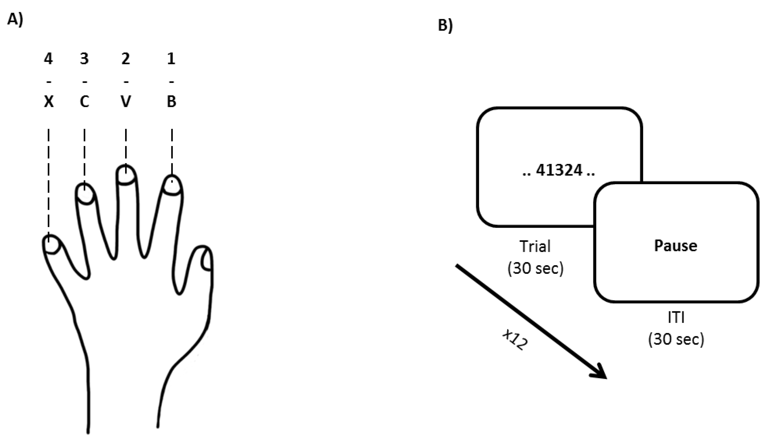 Brainsci 11 00261 g002