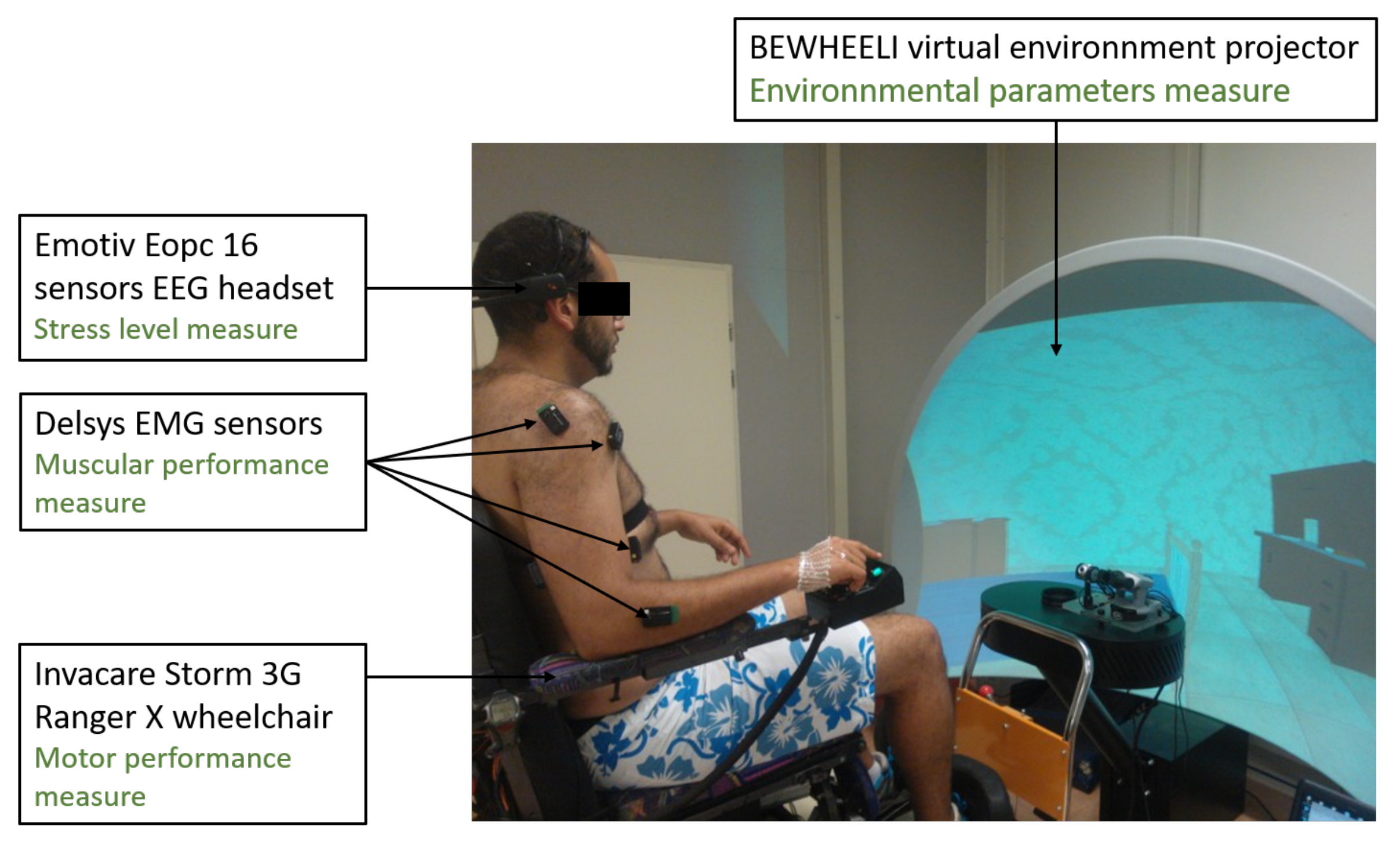 Brainsci 11 00274 g002